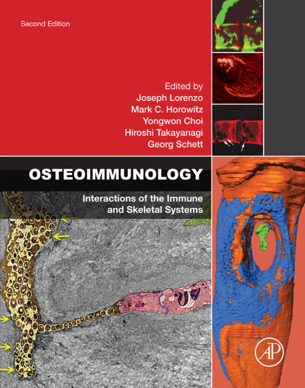Osteoimmunology: Interactions of the Immune and Skeletal Systems 2nd Edition â€“ PDF/EPUB Version Downloadable