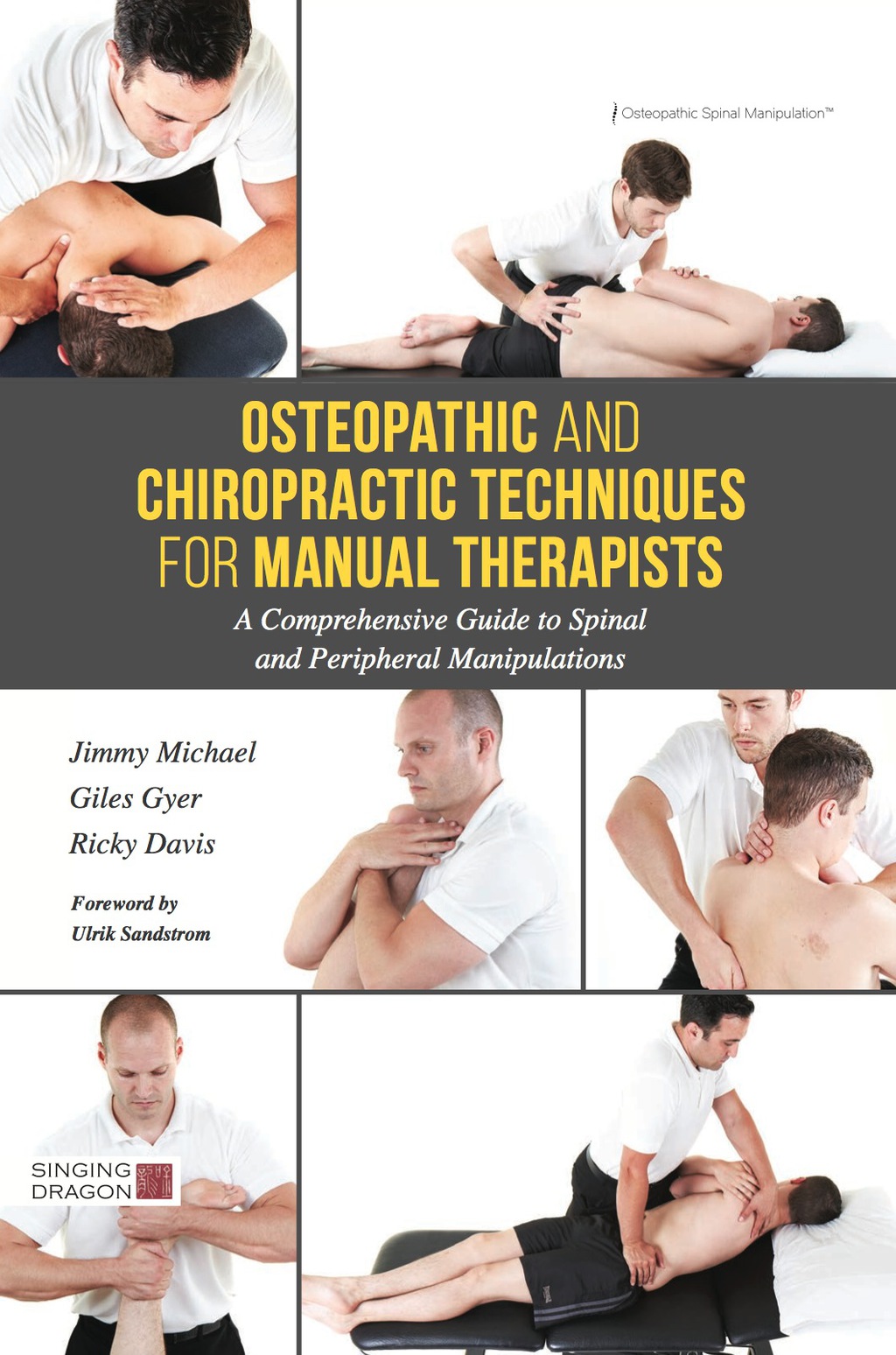 Osteopathic and Chiropractic Techniques for Manual Therapists A Comprehensive Guide to Spinal and Peripheral Manipulations  â€“ PDF/EPUB Version Downloadable
