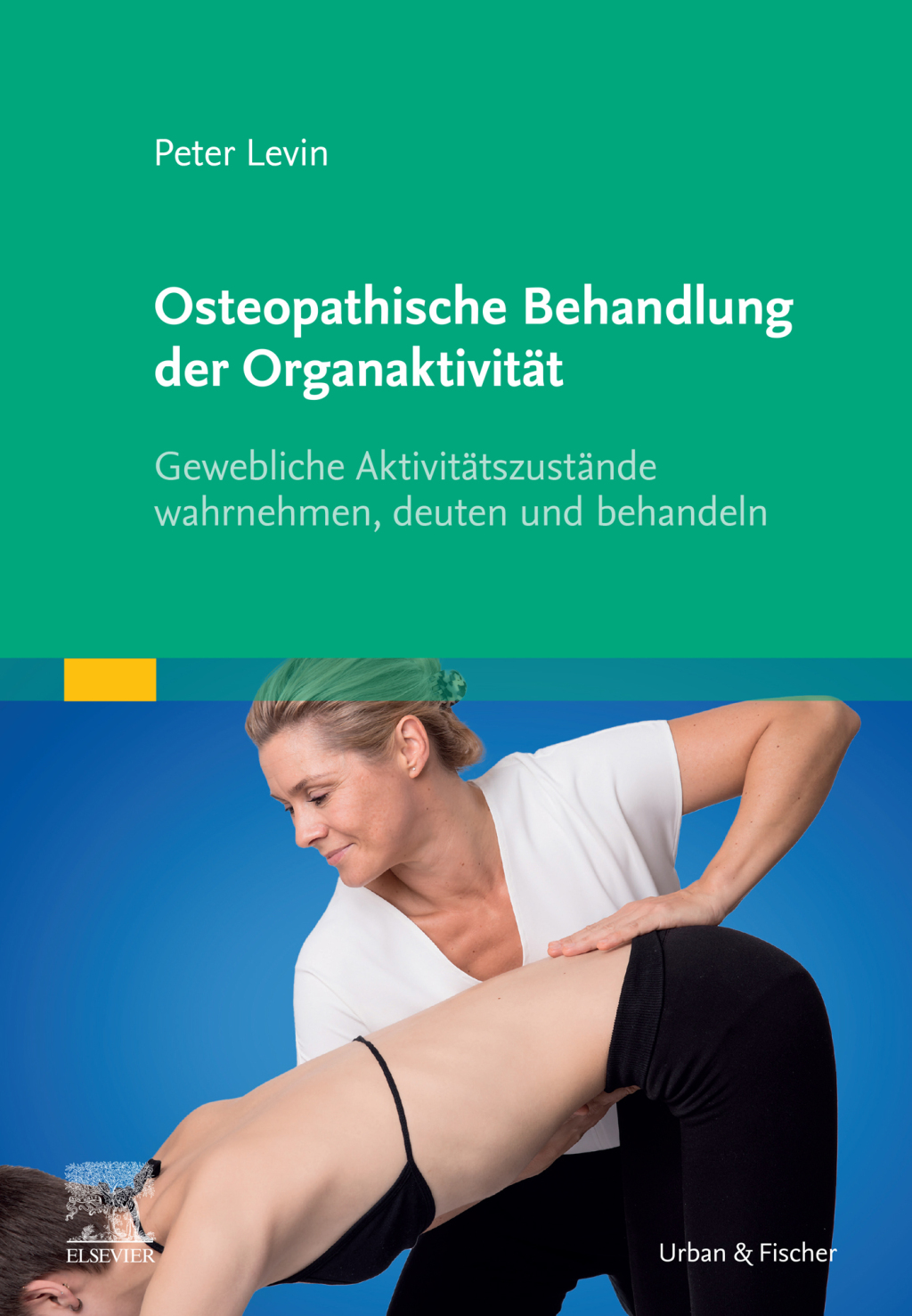 Osteopathische Behandlung der OrganaktivitÃ¤t Gewebliche AktivitÃ¤tszustÃ¤nde wahrnehmen, deuten und behandeln  â€“ PDF/EPUB Version Downloadable