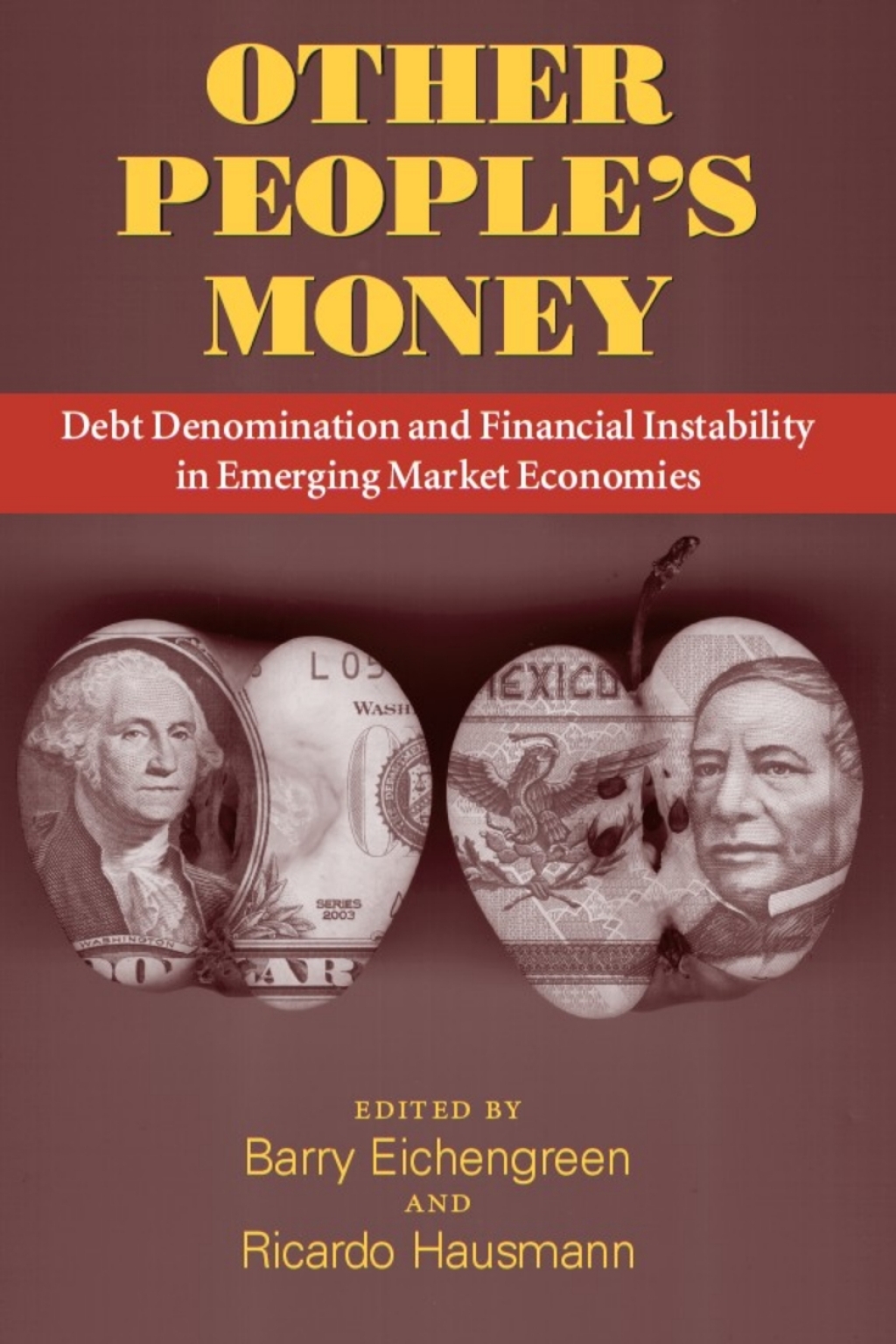Other People's Money Debt Denomination and Financial Instability in Emerging Market Economies 1st Edition â€“ PDF/EPUB Version Downloadable