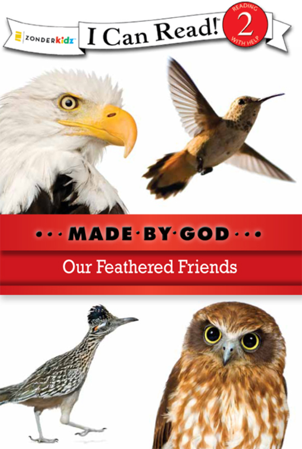 Our Feathered Friends Level 2 - (PDF/EPUB Version)