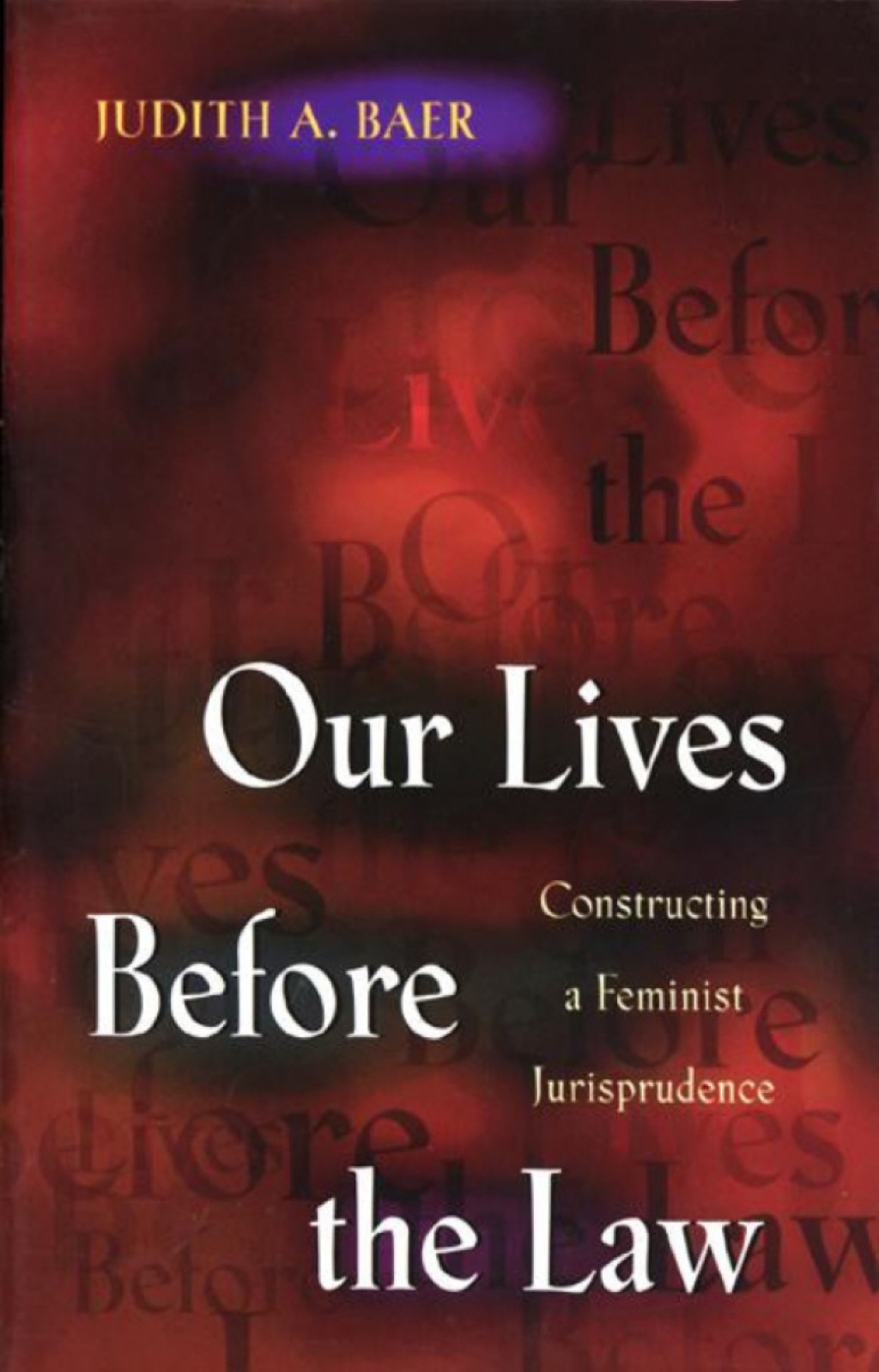 Our Lives Before the Law Constructing a Feminist Jurisprudence  â€“ PDF/EPUB Version Downloadable
