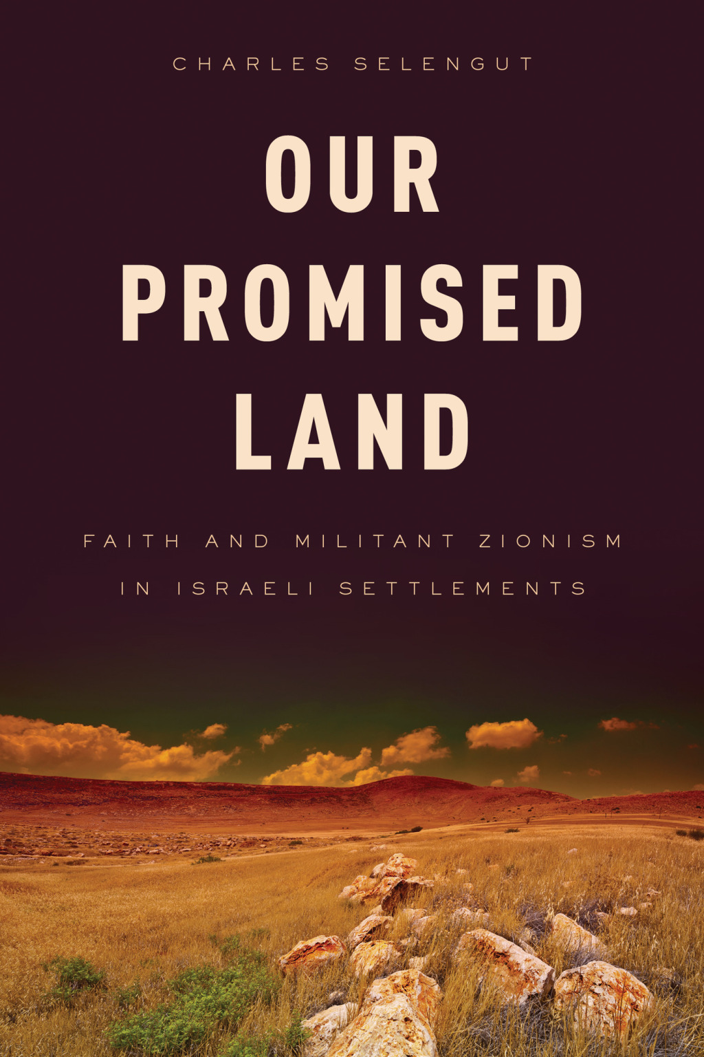 Our Promised Land Faith and Militant Zionism in Israeli Settlements 1st Edition â€“ PDF/EPUB Version Downloadable