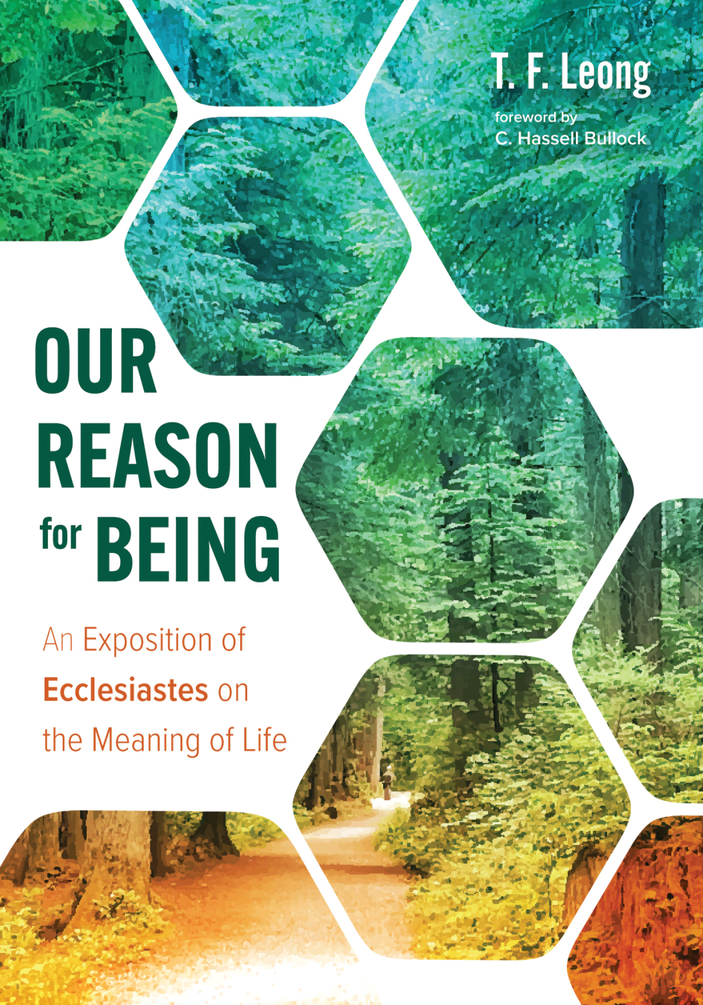 Our Reason for Being An Exposition of Ecclesiastes on the Meaning of Life  â€“ PDF/EPUB Version Downloadable