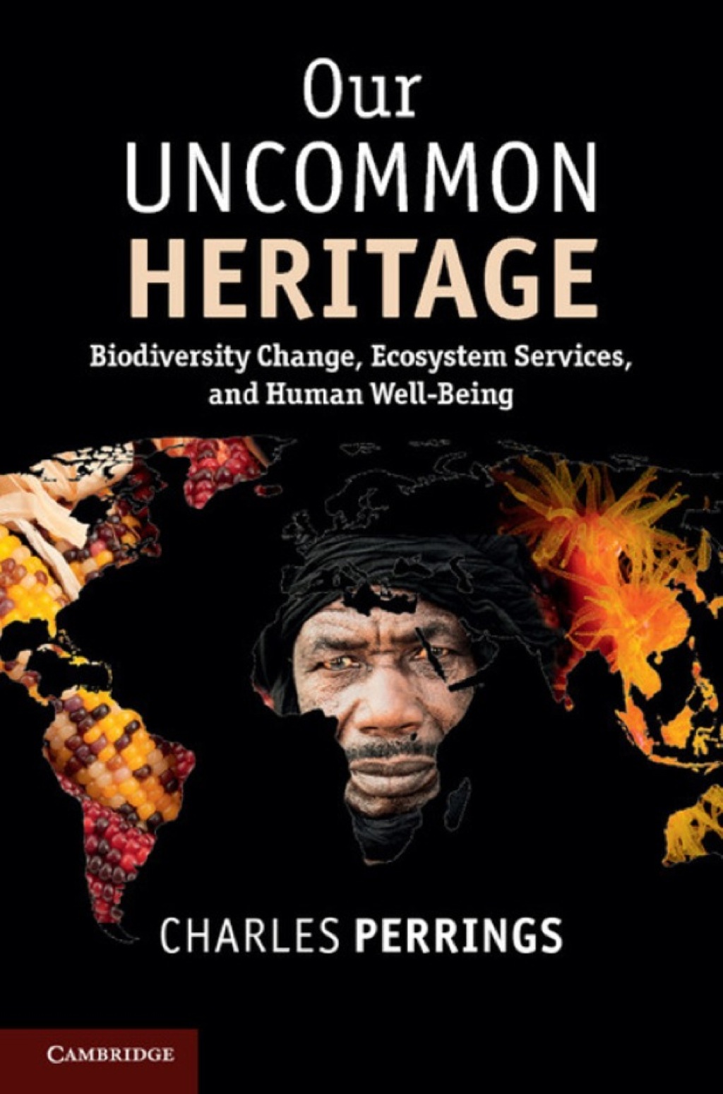 Our Uncommon Heritage Biodiversity Change, Ecosystem Services, and Human Wellbeing 1st Edition â€“ PDF/EPUB Version Downloadable