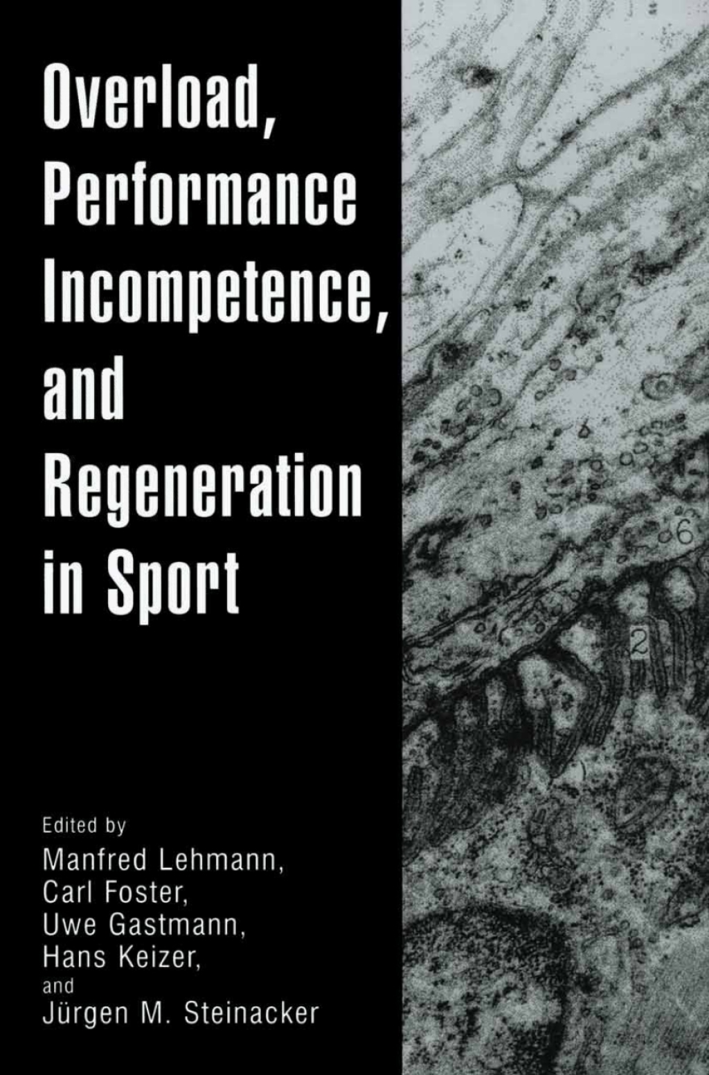 Overload, Performance Incompetence, and Regeneration in Sport 1st Edition â€“ PDF/EPUB Version Downloadable