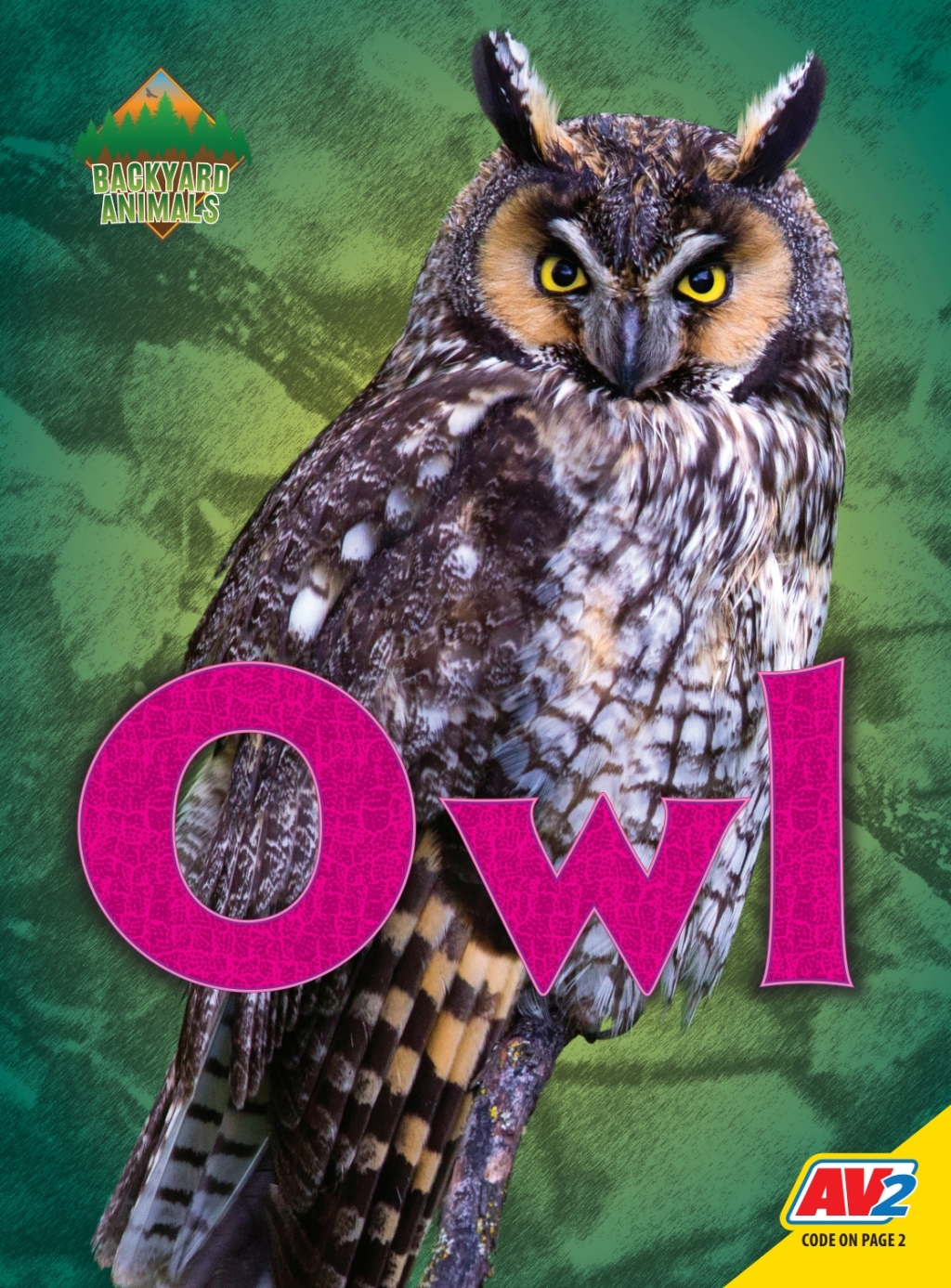 Owl 1st Edition â€“ PDF/EPUB Version Downloadable