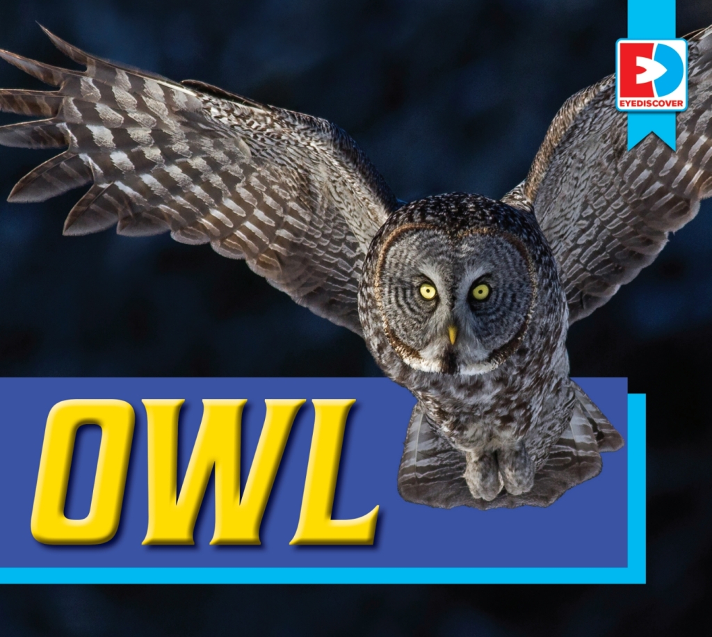 Owl 1st Edition â€“ PDF/EPUB Version Downloadable