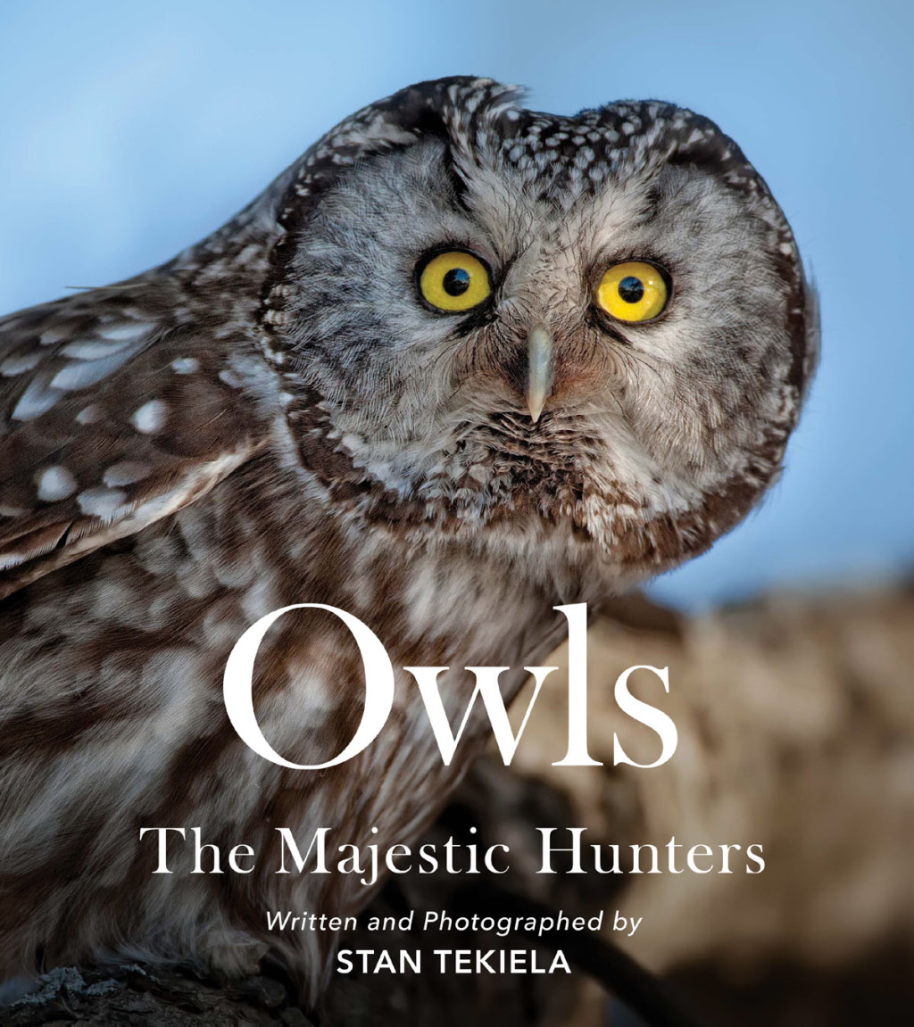Owls The Majestic Hunters - (PDF/EPUB Version)