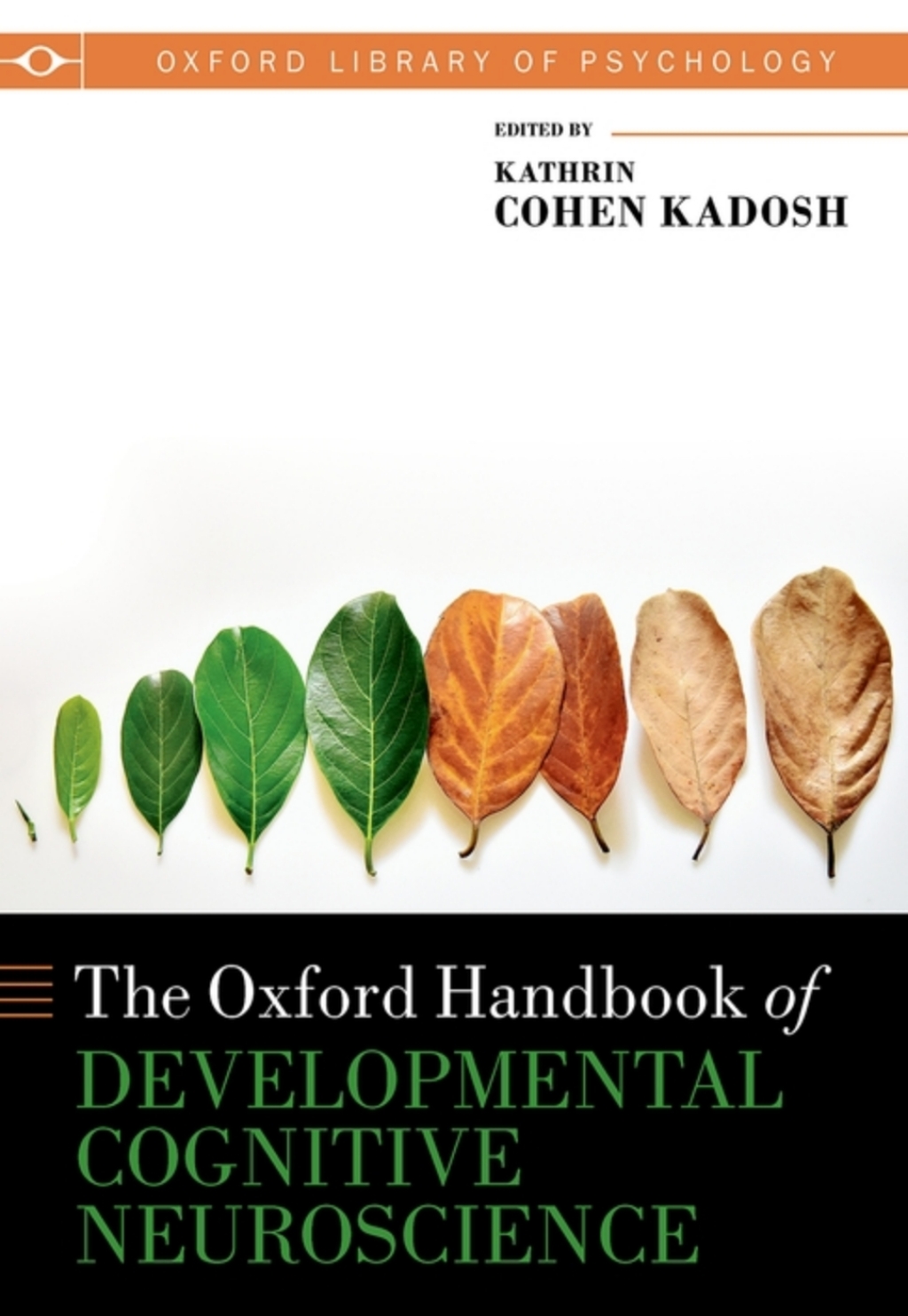 Oxford Handbook of Developmental Cognitive Neuroscience 1st Edition â€“ PDF/EPUB Version Downloadable
