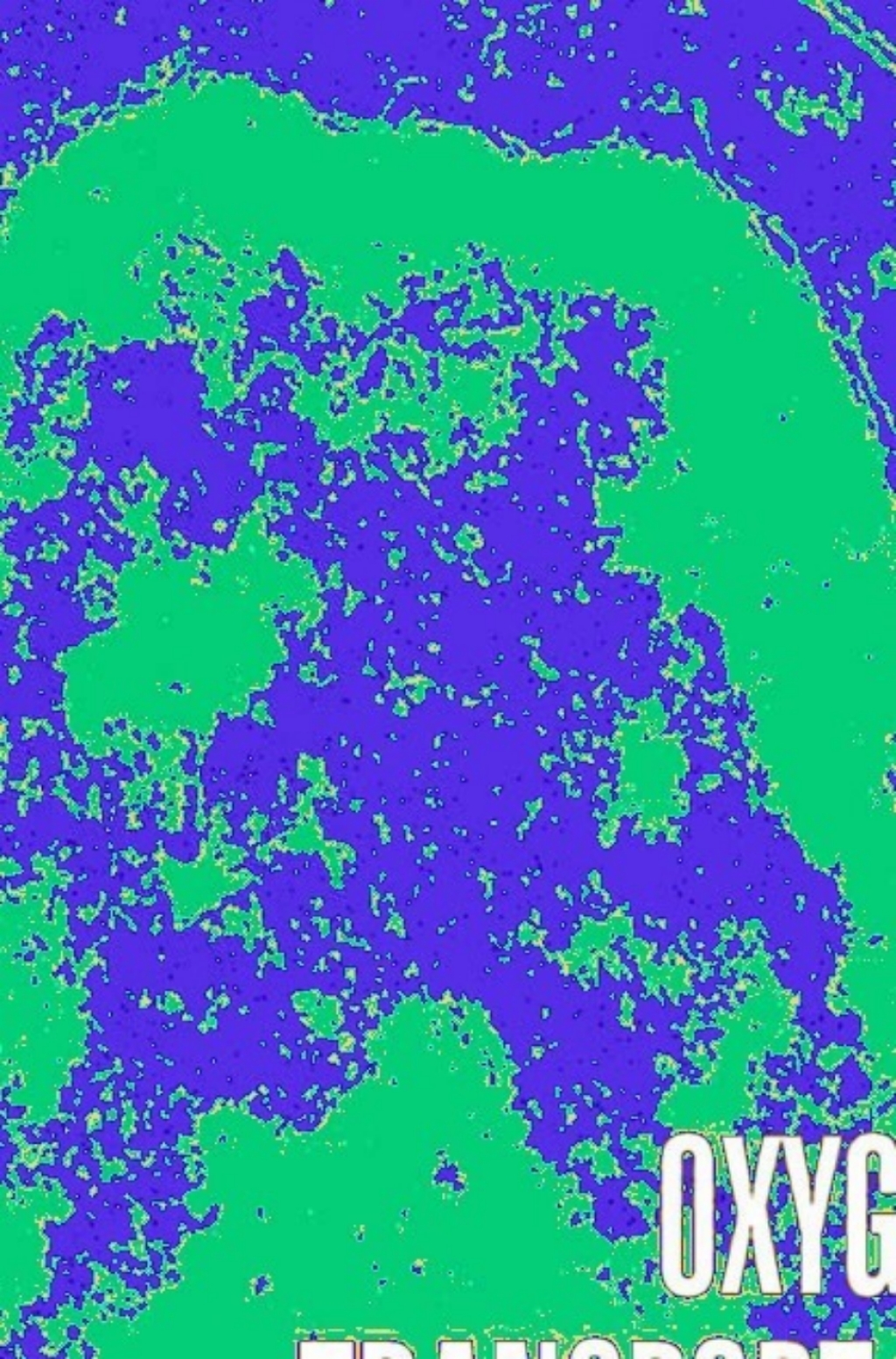 Oxygen Transport to Tissue XXIX 1st Edition â€“ PDF/EPUB Version Downloadable