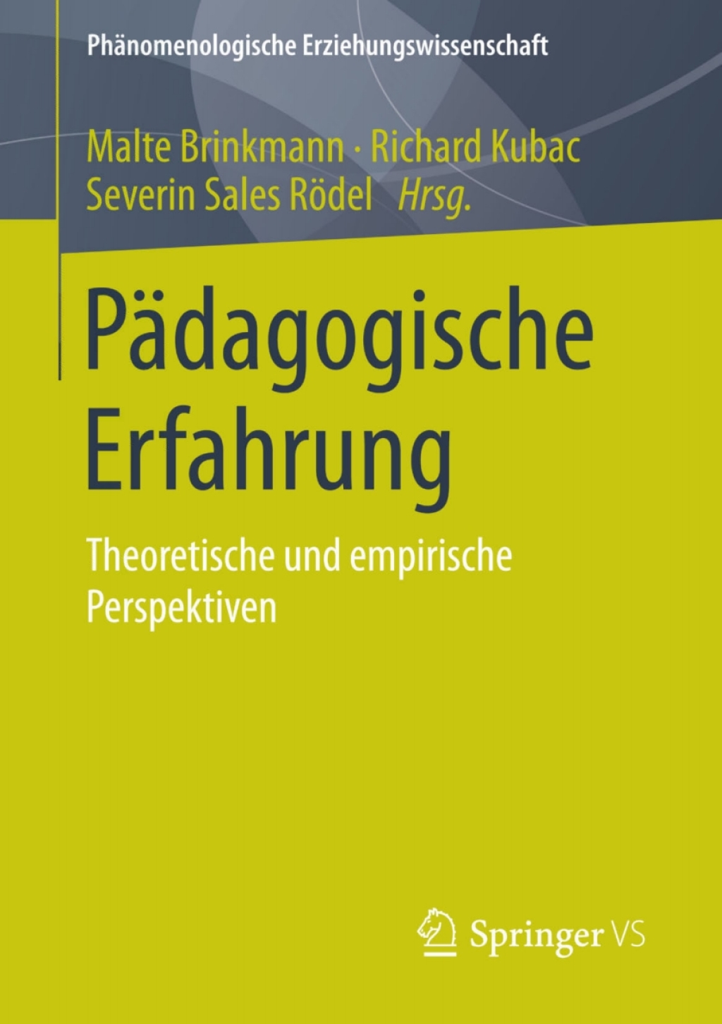 PÃ¤dagogische Erfahrung Theoretische und empirische Perspektiven  â€“ PDF/EPUB Version Downloadable
