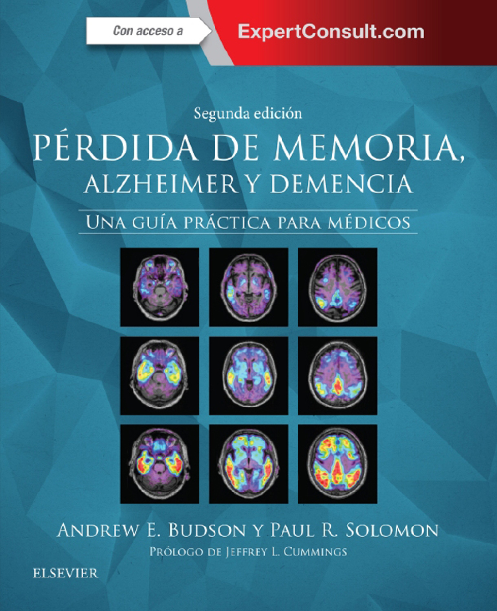 PÃ©rdida de memoria, Alzheimer y demencia Una guÃ­a prÃ¡ctica para mÃ©dicos 2nd Edition â€“ PDF/EPUB Version Downloadable