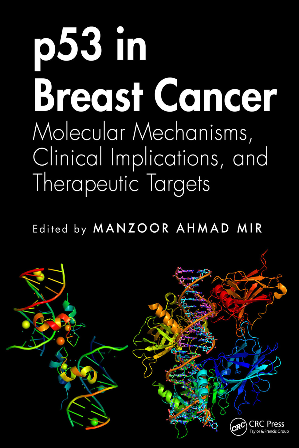 p53 in Breast Cancer Molecular Mechanisms, Clinical Implications, and Therapeutic Targets 1st Edition â€“ PDF/EPUB Version Downloadable