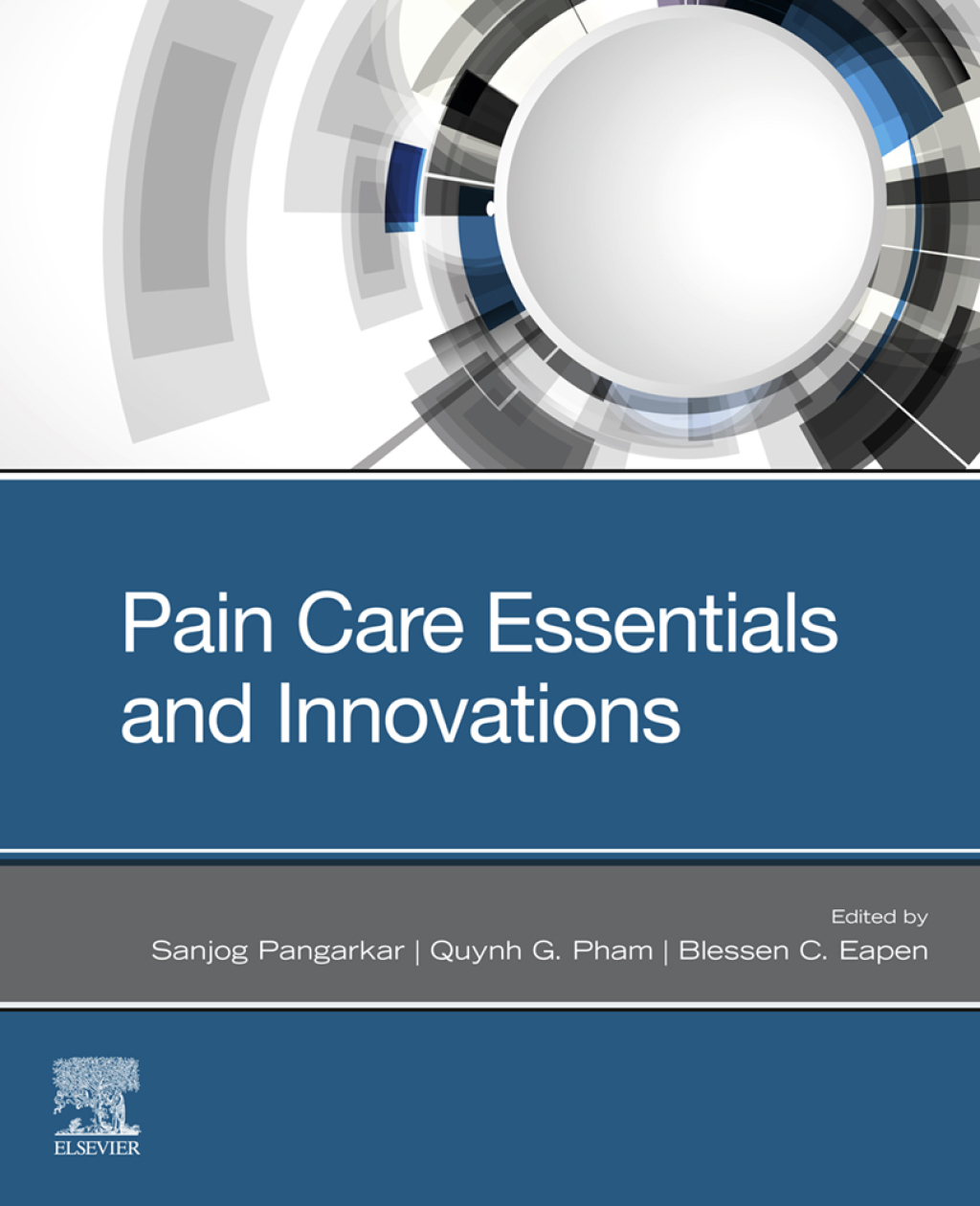 Pain Care Essentials and Innovations  â€“ PDF/EPUB Version Downloadable