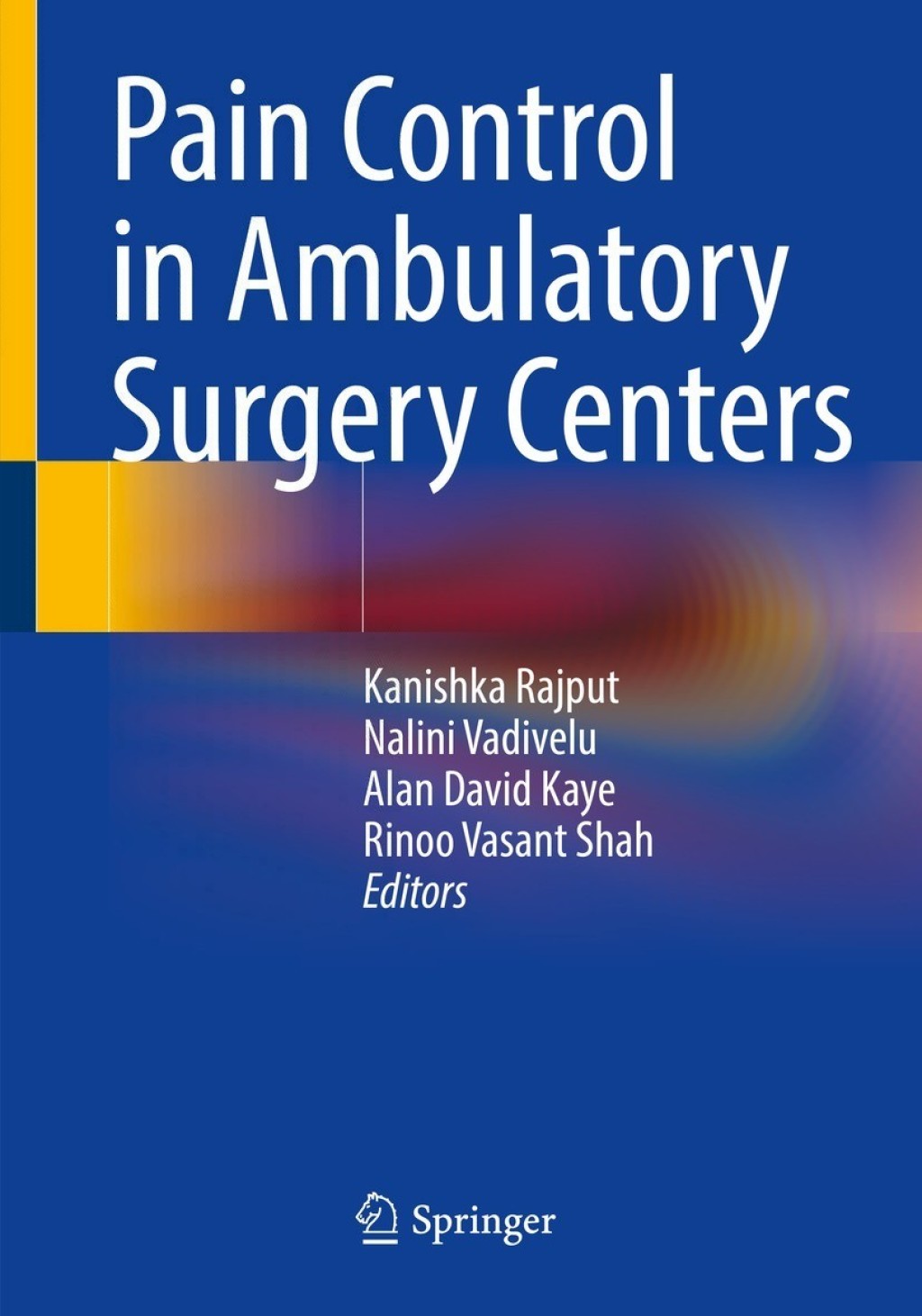 Pain Control in Ambulatory Surgery Centers  â€“ PDF/EPUB Version Downloadable