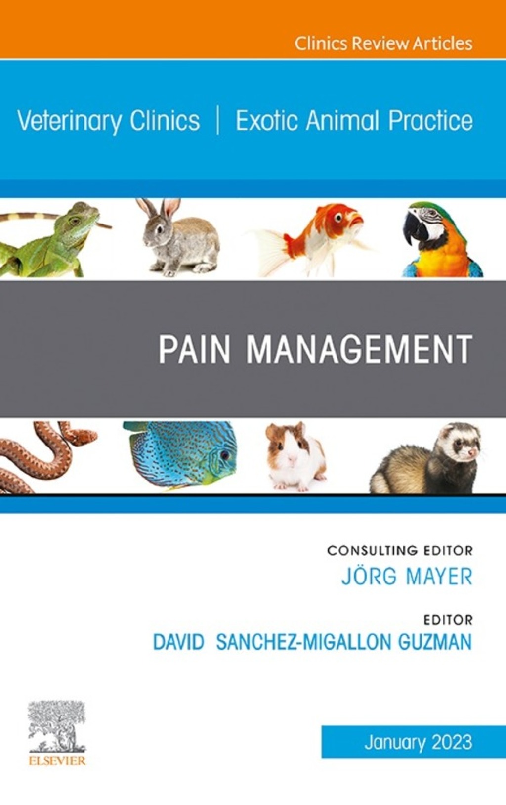 Pain Management, An Issue of Veterinary Clinics of North America: Exotic Animal Practice 1st Edition â€“ PDF/EPUB Version Downloadable