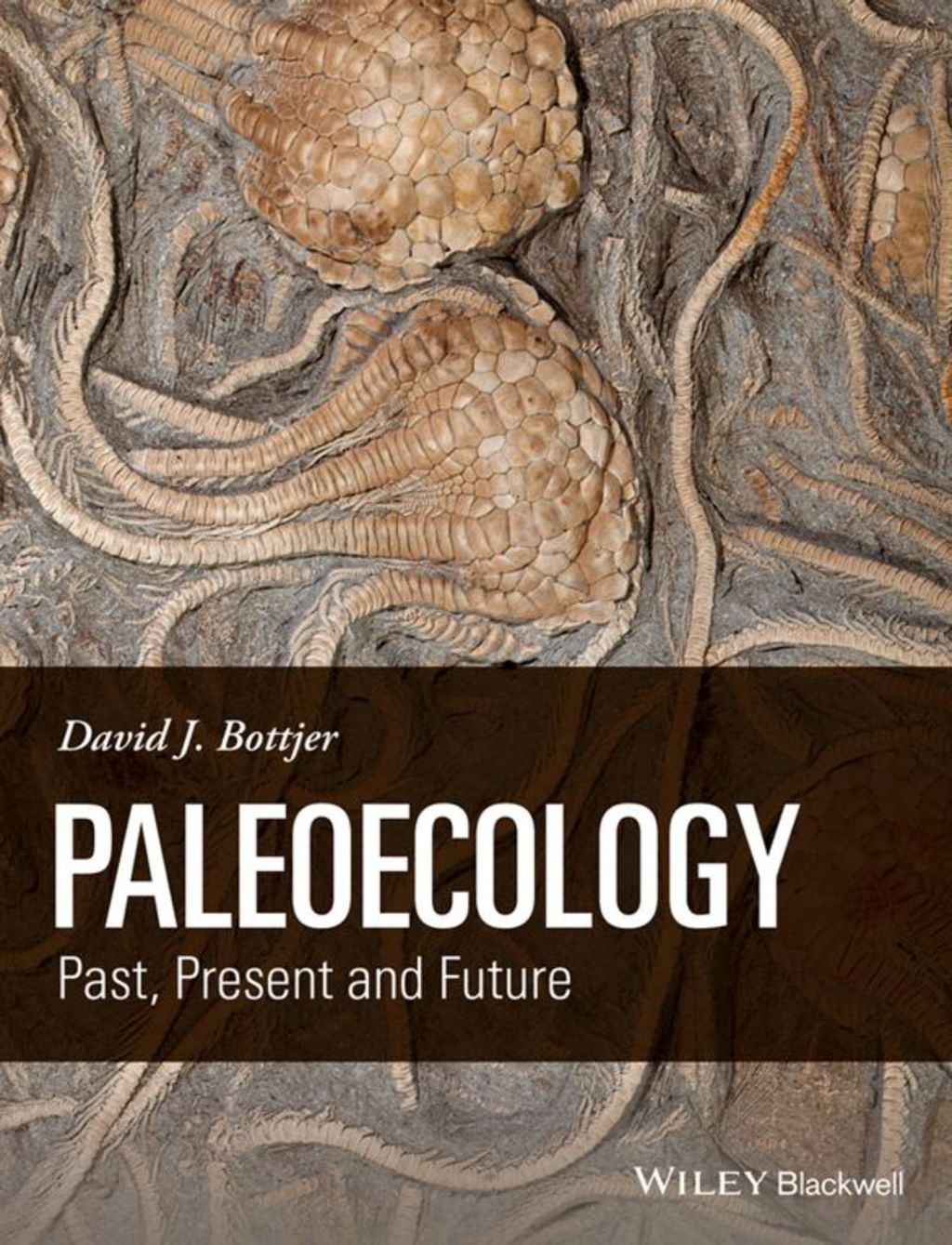 Paleoecology: Past, Present and Future 1st Edition – PDF/EPUB Version Downloadable Paleoecology: Past, Present and Future 1st Edition – PDF/EPUB Version Downloadable - Image 1