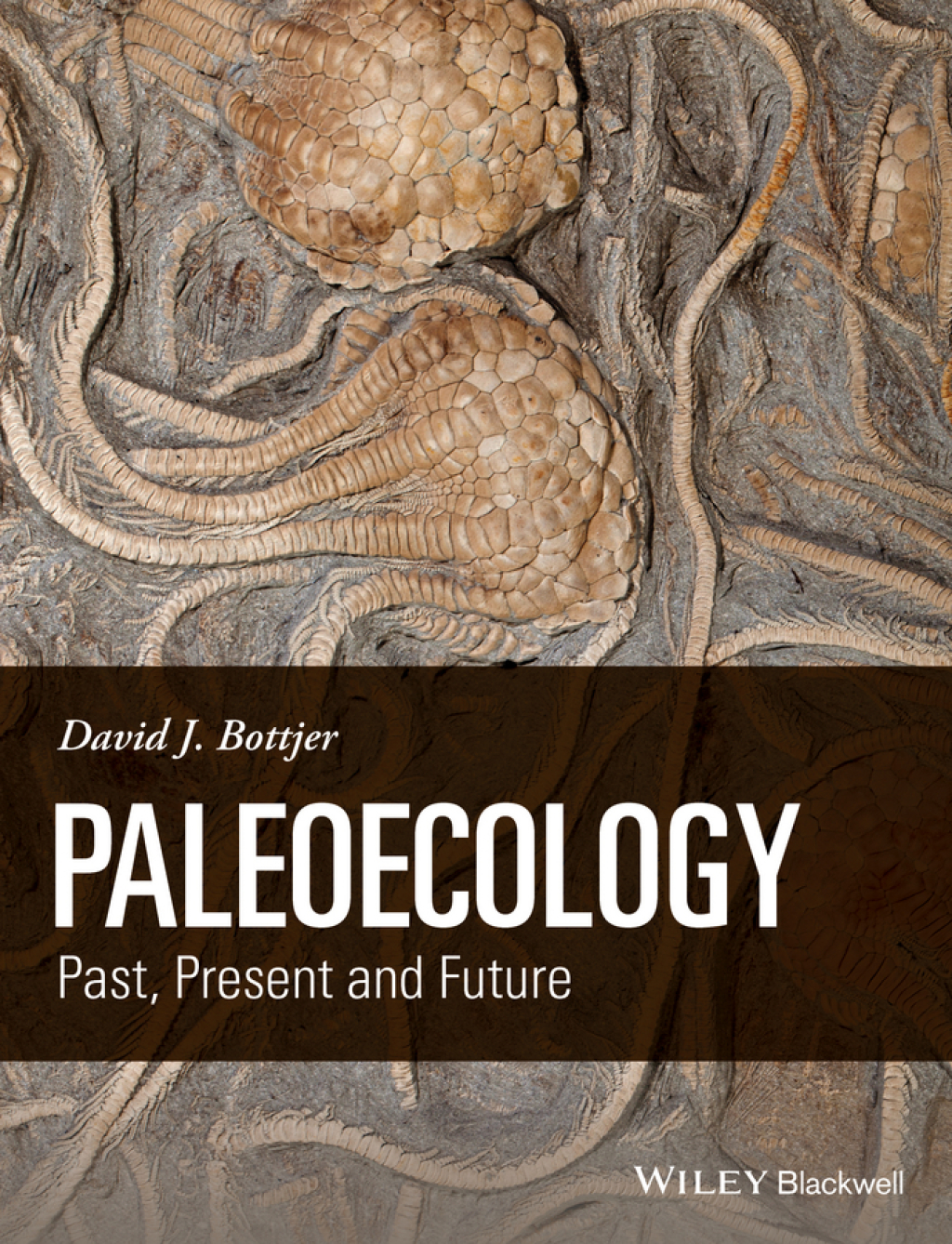 Paleoecology Past, Present and Future 1st Edition â€“ PDF/EPUB Version Downloadable