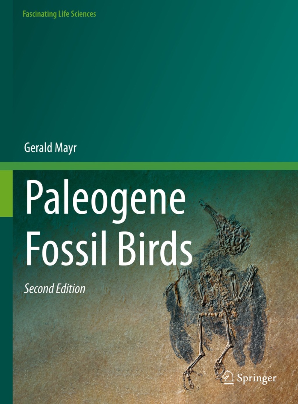 Paleogene Fossil Birds 2nd Edition â€“ PDF/EPUB Version Downloadable