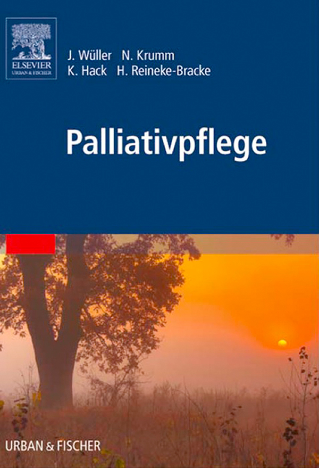 Palliativpflege  â€“ PDF/EPUB Version Downloadable