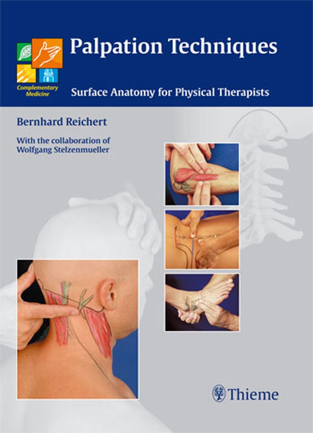 Palpation Techniques Surface Anatomy for Physical Therapists 1st Edition â€“ PDF/EPUB Version Downloadable