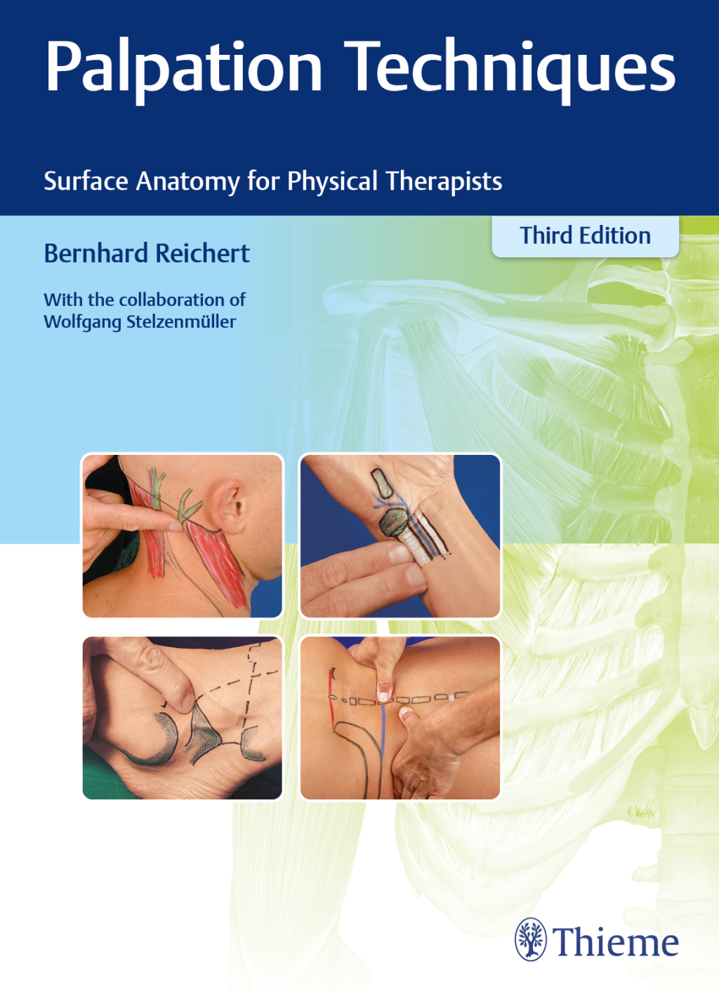 Palpation Techniques Surface Anatomy for Physical Therapists 3rd Edition â€“ PDF/EPUB Version Downloadable