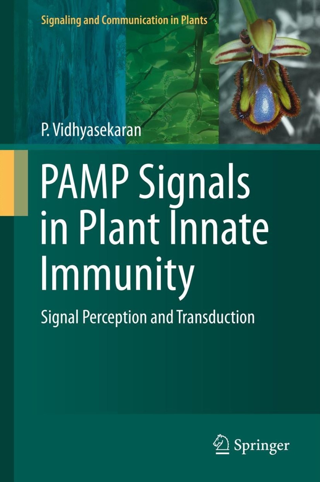 PAMP Signals in Plant Innate Immunity Signal Perception and Transduction  â€“ PDF/EPUB Version Downloadable
