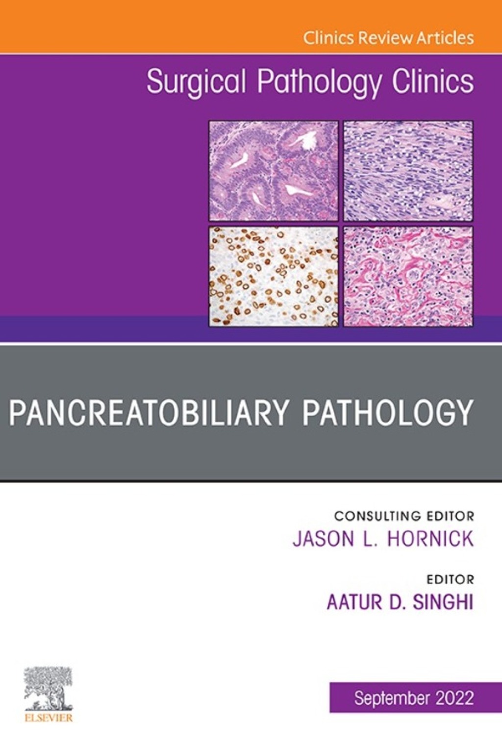 Pancreatobiliary Pathology, An Issue of Surgical Pathology Clinics 1st Edition â€“ PDF/EPUB Version Downloadable