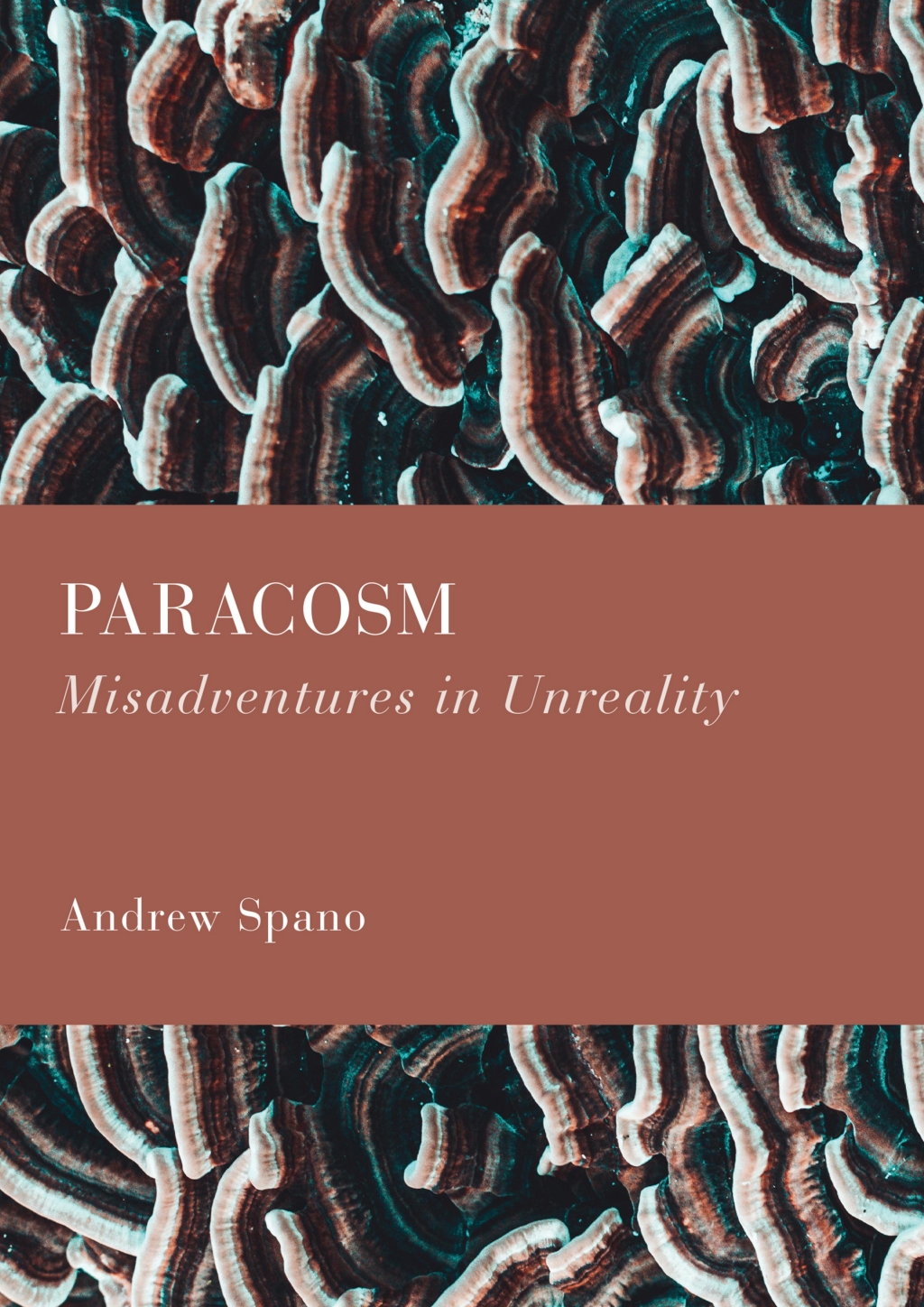 Paracosm Misadventures in Unreality 1st Edition â€“ PDF/EPUB Version Downloadable