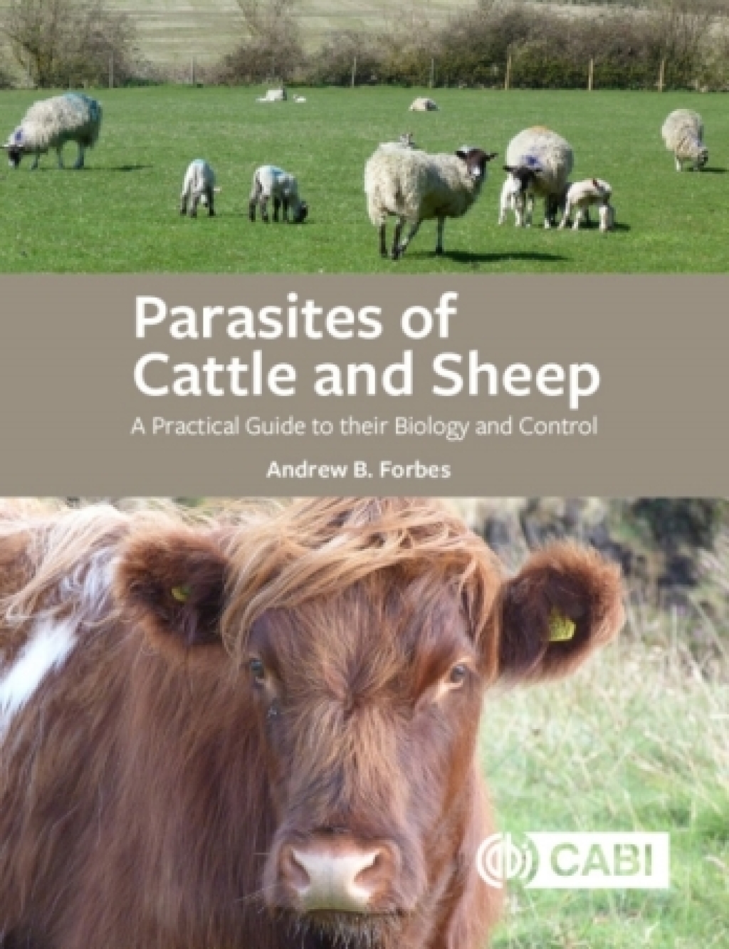 Parasites of Cattle and Sheep A Practical Guide to their Biology and Control  â€“ PDF/EPUB Version Downloadable