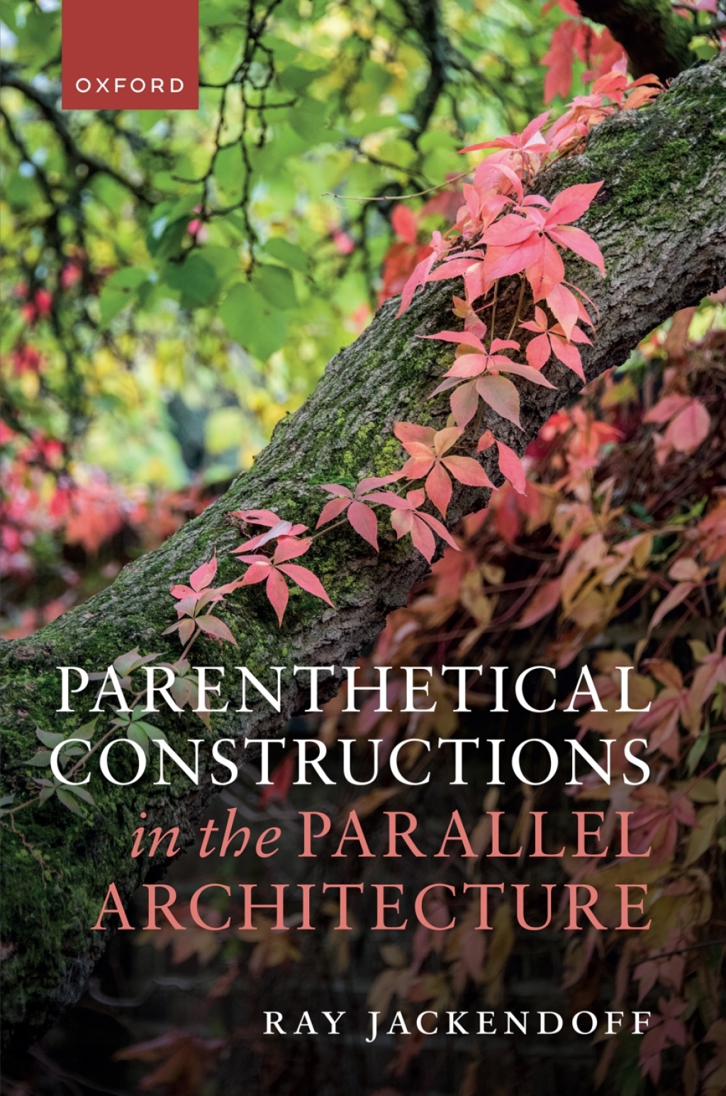 Parenthetical Constructions in the Parallel Architecture 1st Edition â€“ PDF/EPUB Version Downloadable