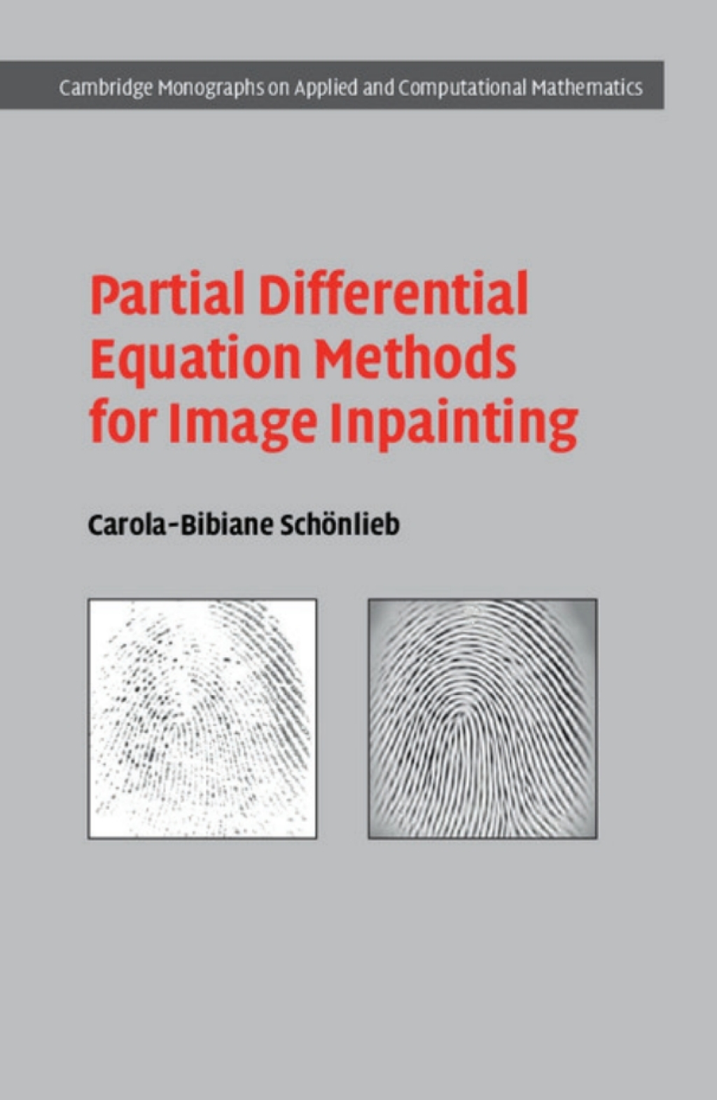 Partial Differential Equation Methods for Image Inpainting  â€“ PDF/EPUB Version Downloadable