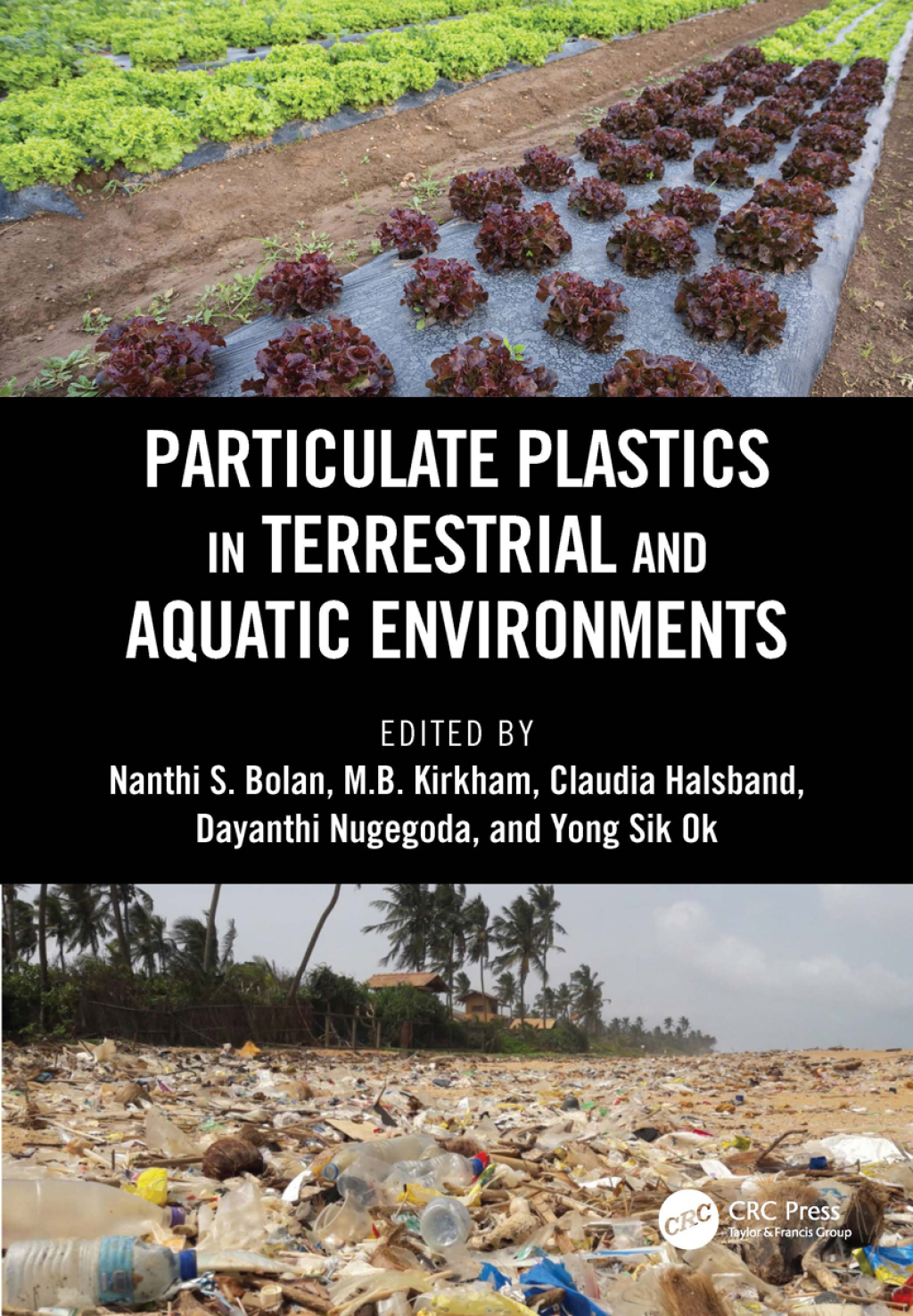 Particulate Plastics in Terrestrial and Aquatic Environments 1st Edition â€“ PDF/EPUB Version Downloadable