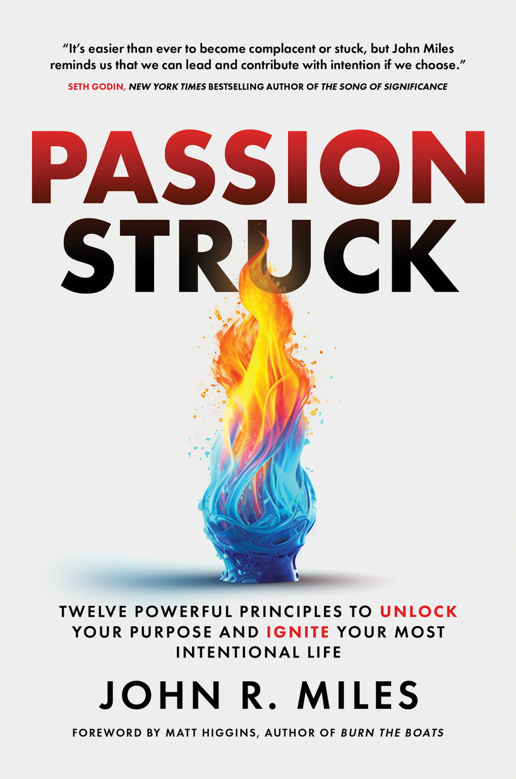 Passion Struck Twelve Powerful Principles to Unlock Your Purpose and Ignite Your Most Intentional Life - (PDF/EPUB Version)