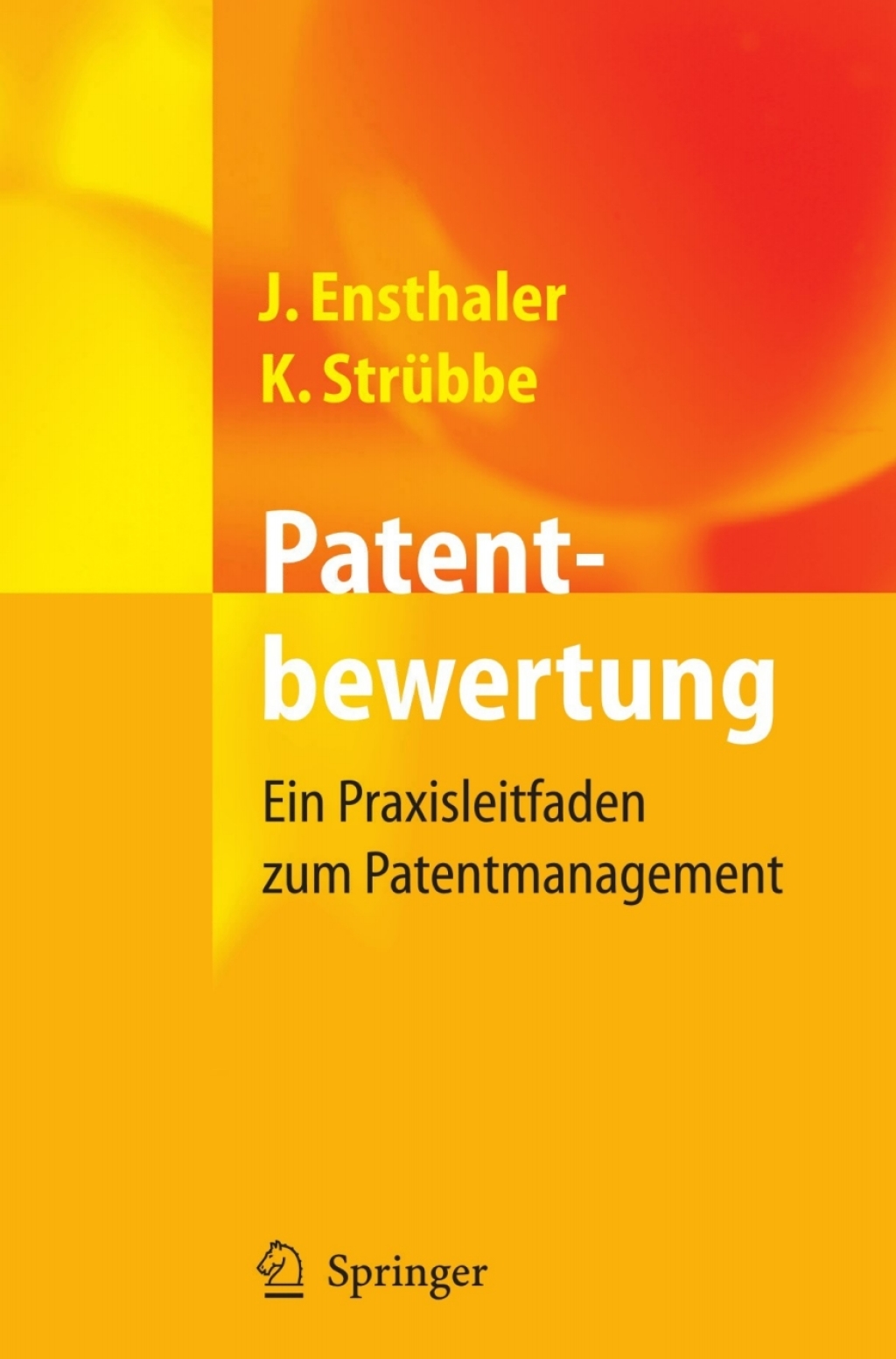 Patentbewertung Ein Praxisleitfaden zum Patentmanagement  â€“ PDF/EPUB Version Downloadable