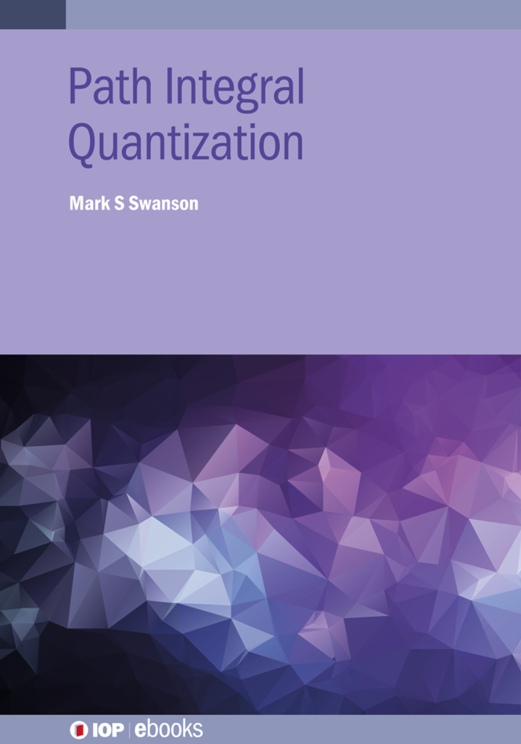Path Integral Quantization 1st Edition â€“ PDF/EPUB Version Downloadable