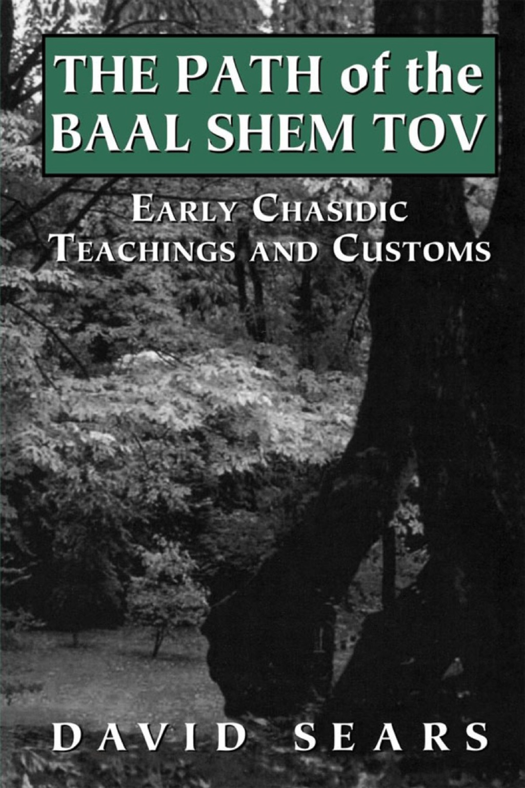 Path of the Baal Shem Tov Early Chasidic Teachings and Customs 1st Edition â€“ PDF/EPUB Version Downloadable