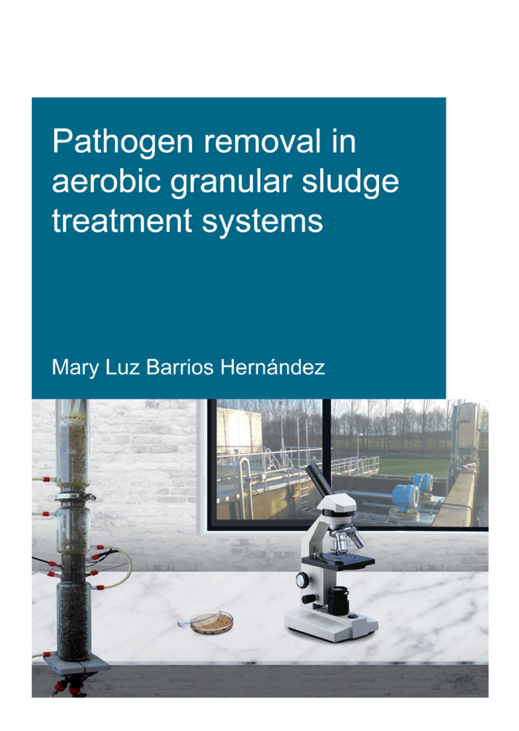 Pathogen removal in aerobic granular sludge treatment systems 1st Edition â€“ PDF/EPUB Version Downloadable