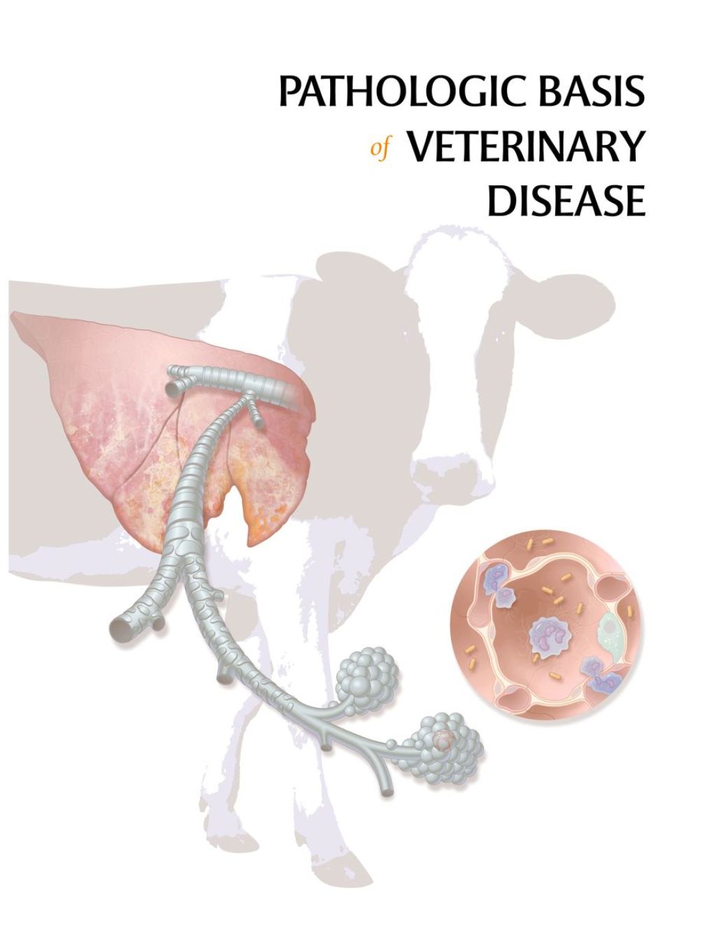 Pathologic Basis of Veterinary Disease 4th Edition â€“ PDF/EPUB Version Downloadable