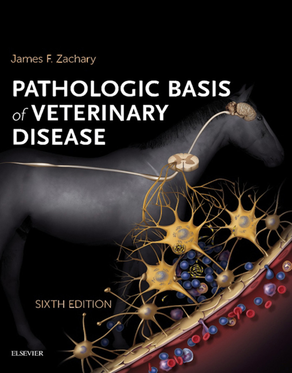 Pathologic Basis of Veterinary Disease Expert Consult 6th Edition â€“ PDF/EPUB Version Downloadable
