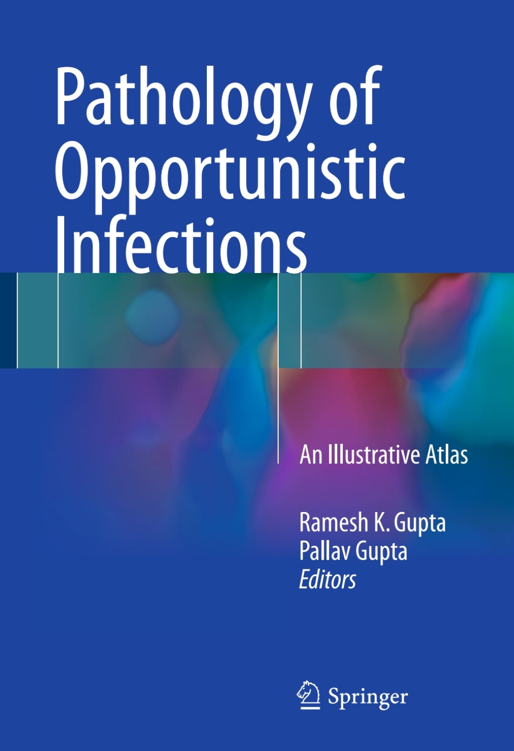 Pathology of Opportunistic Infections An Illustrative Atlas  â€“ PDF/EPUB Version Downloadable