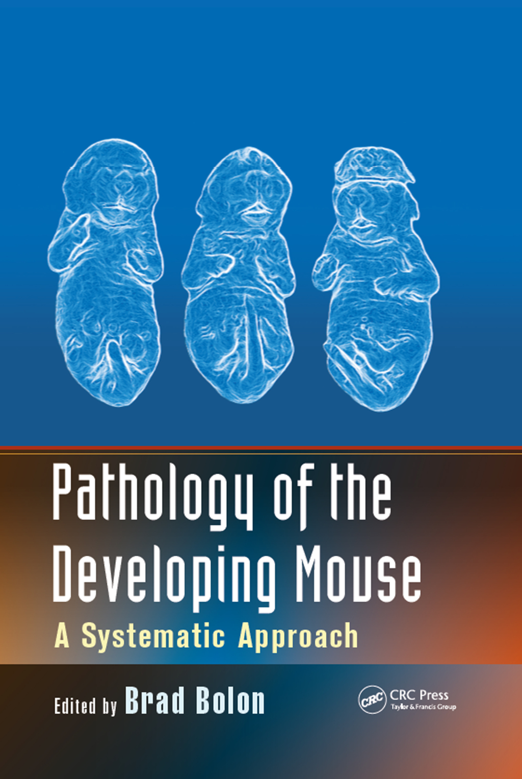 Pathology of the Developing Mouse A Systematic Approach 1st Edition â€“ PDF/EPUB Version Downloadable