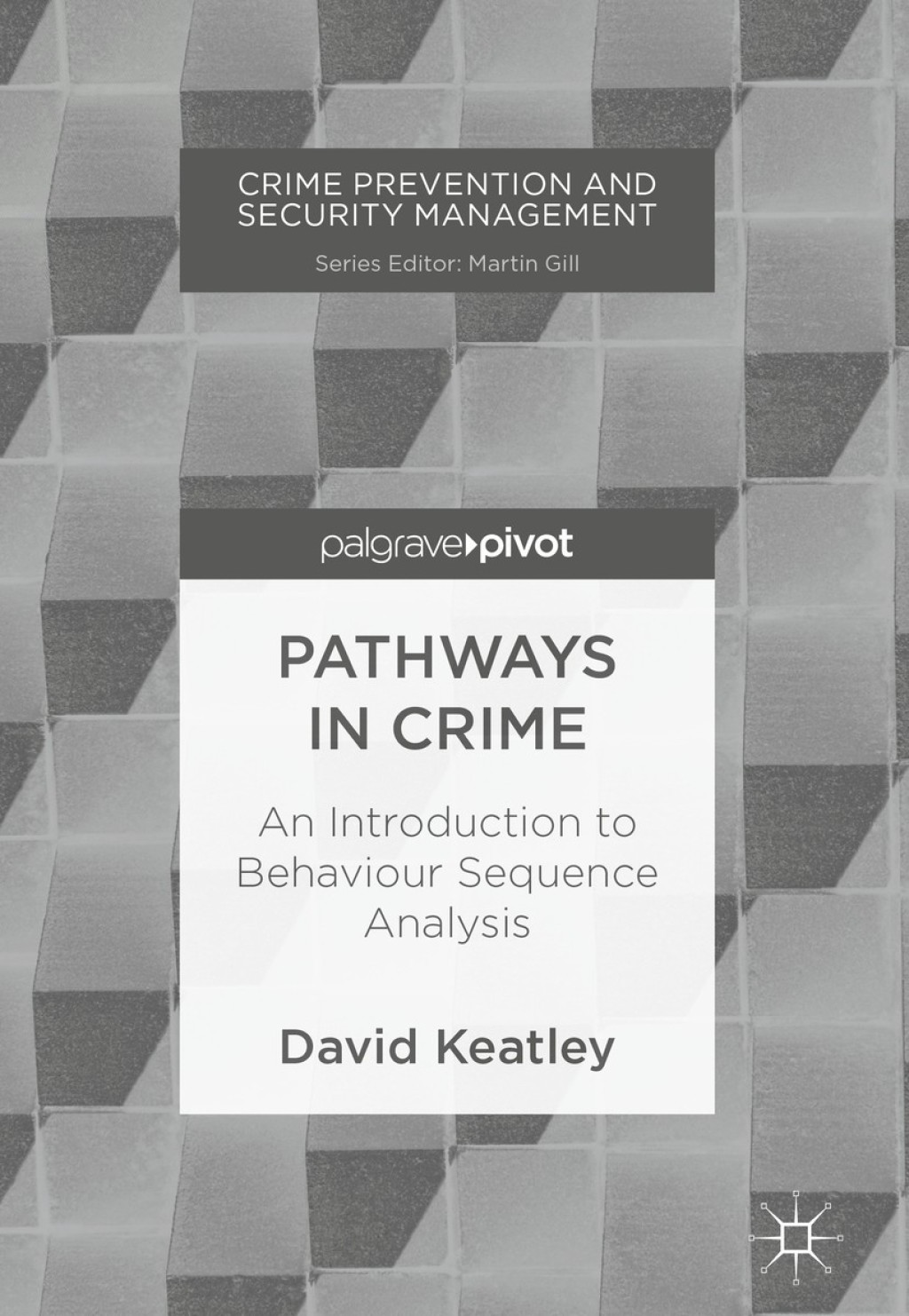 Pathways in Crime An Introduction to Behaviour Sequence Analysis  â€“ PDF/EPUB Version Downloadable