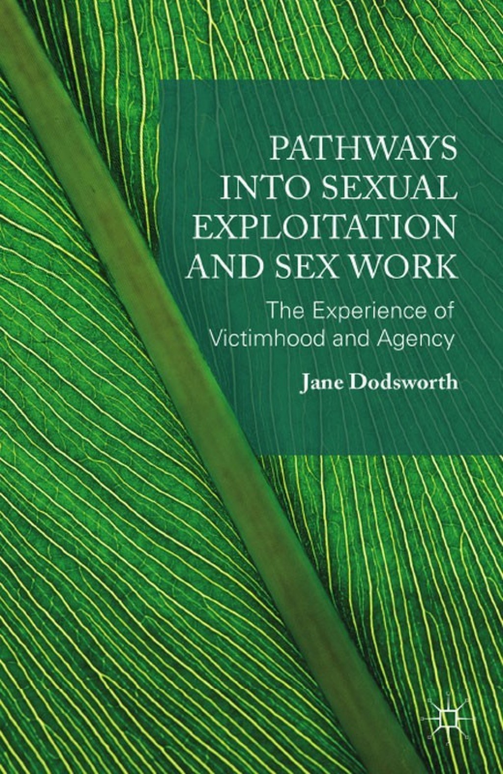Pathways into Sexual Exploitation and Sex Work The Experience of Victimhood and Agency  â€“ PDF/EPUB Version Downloadable