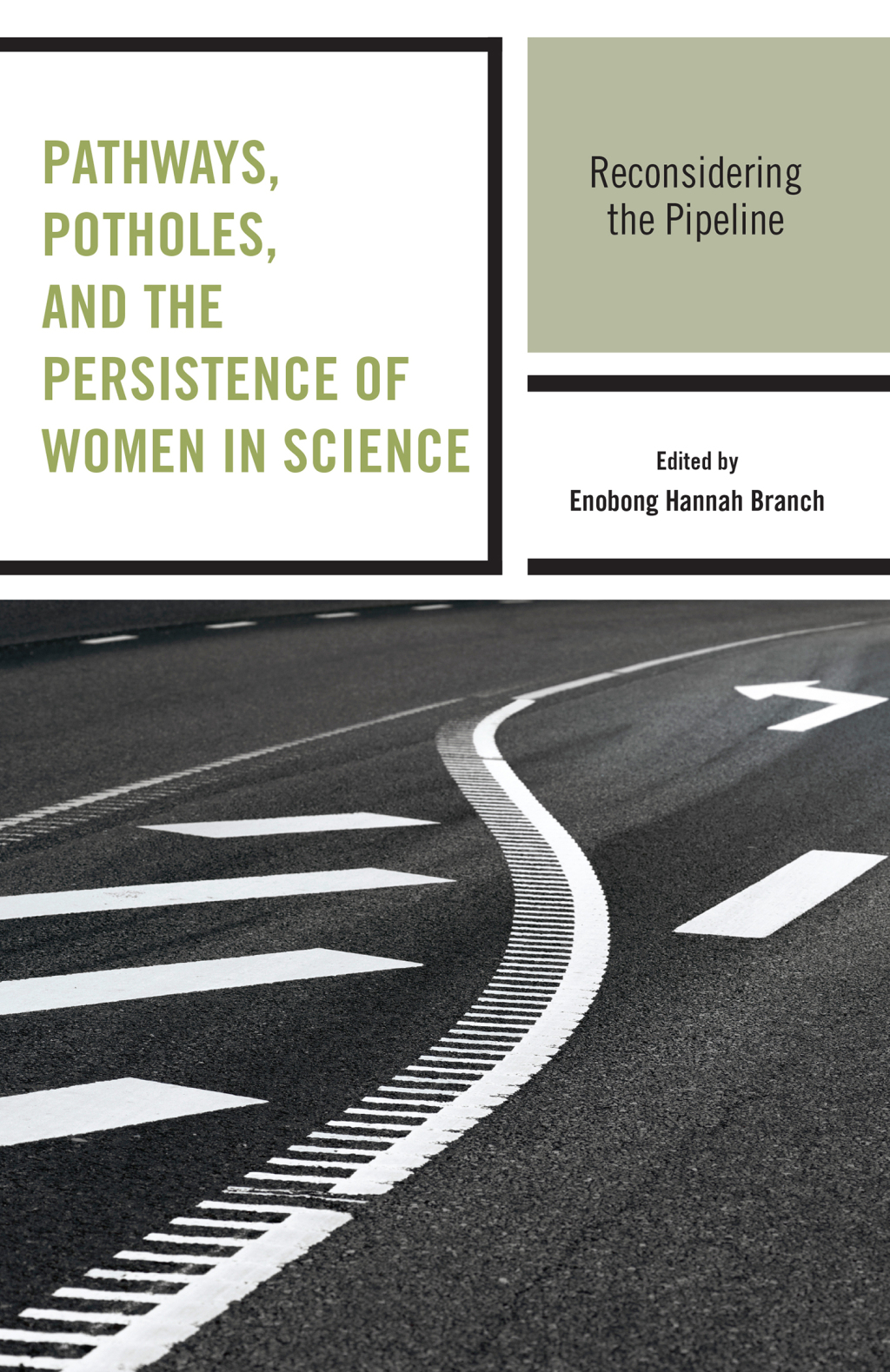 Pathways, Potholes, and the Persistence of Women in Science Reconsidering the Pipeline  â€“ PDF/EPUB Version Downloadable