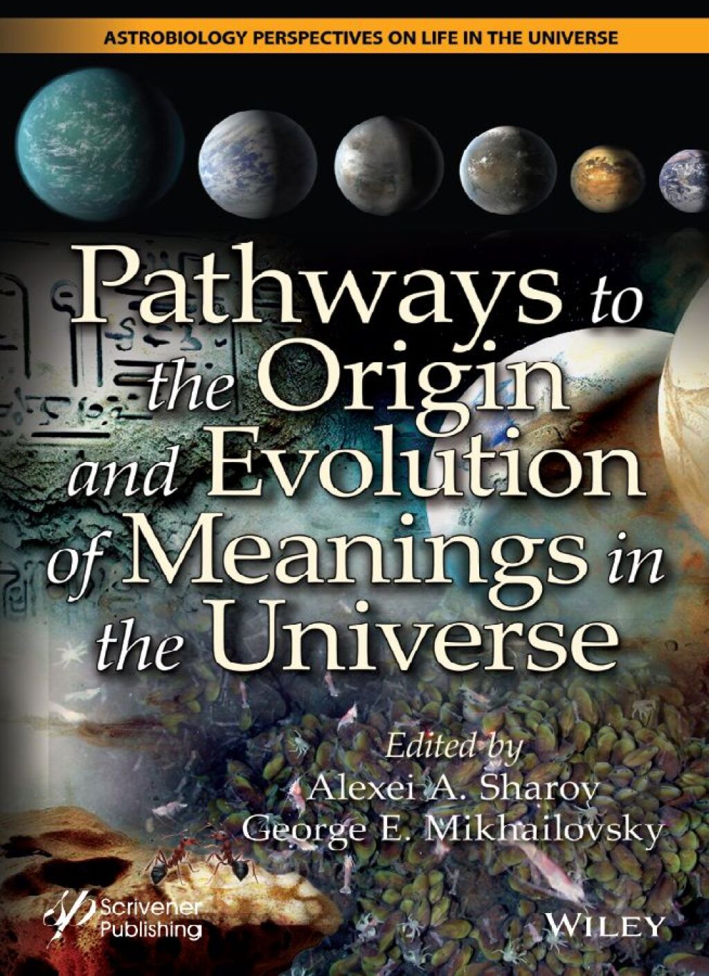 Pathways to the Origin and Evolution of Meanings in the Universe 1st Edition â€“ PDF/EPUB Version Downloadable