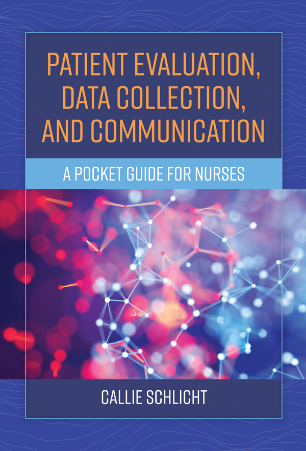 Patient Evaluation, Data Collection, and Communication A Pocket Guide for Nurses - (PDF/EPUB Version)