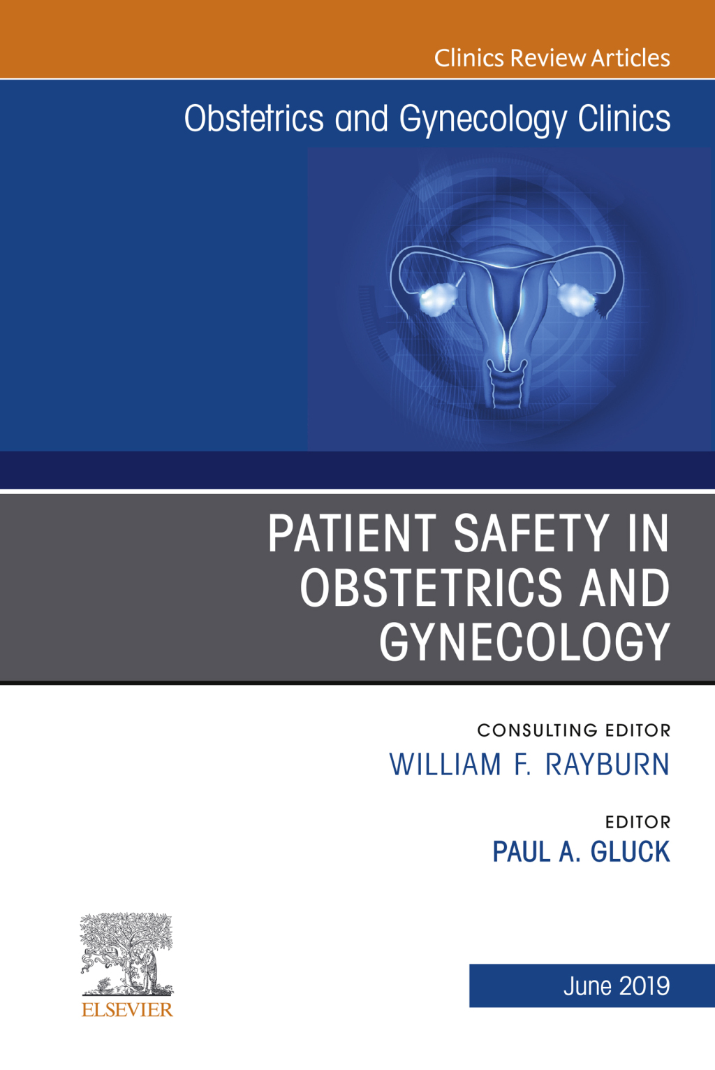 Patient Safety in Obstetrics and Gynecology, An Issue of Obstetrics and Gynecology Clinics  â€“ PDF/EPUB Version Downloadable