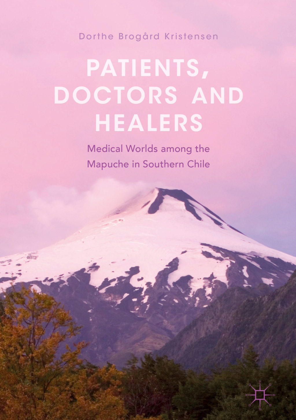 Patients, Doctors and Healers Medical Worlds among the Mapuche in Southern Chile  â€“ PDF/EPUB Version Downloadable